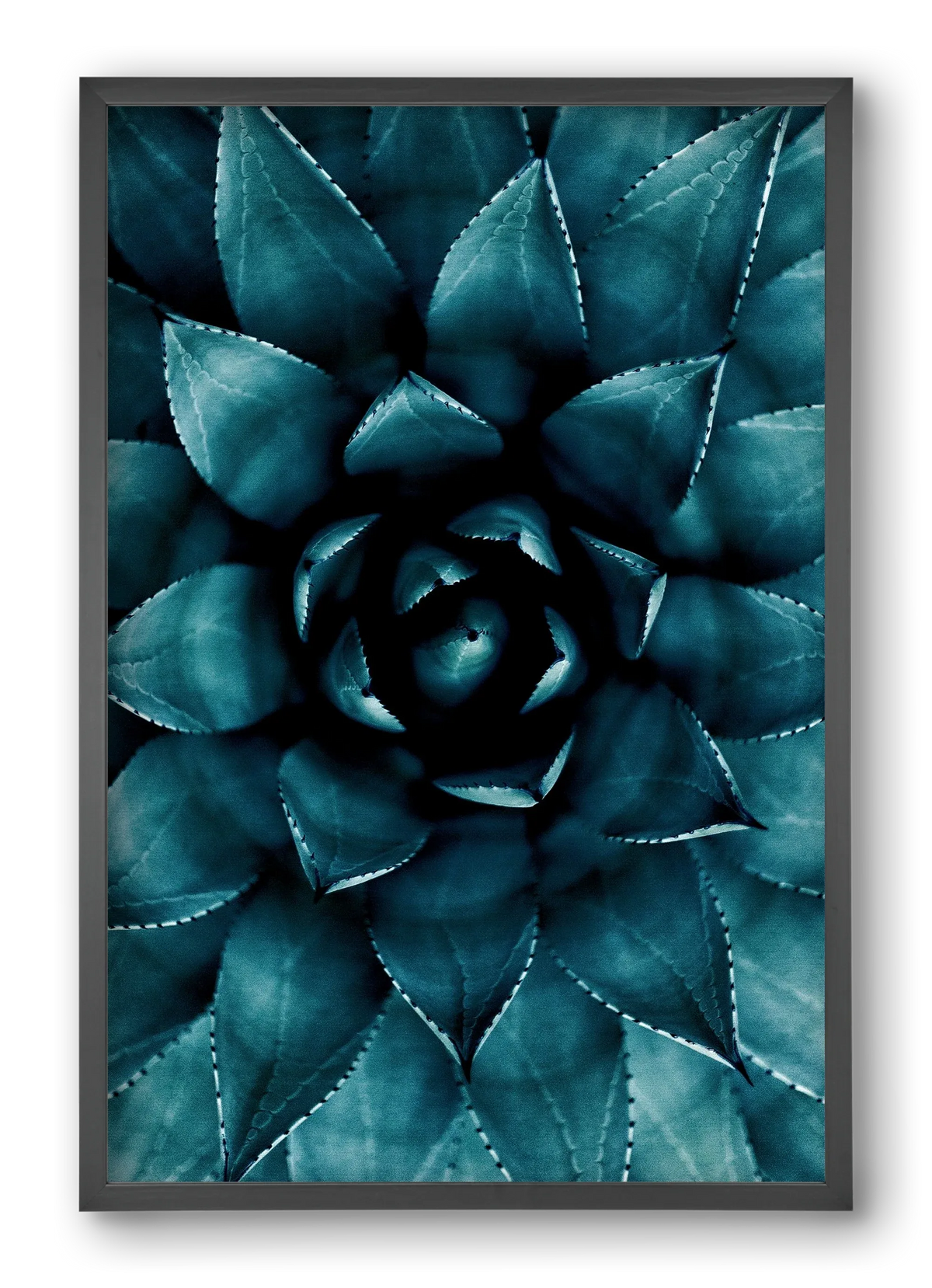 Cactus No. 9 - artbridge