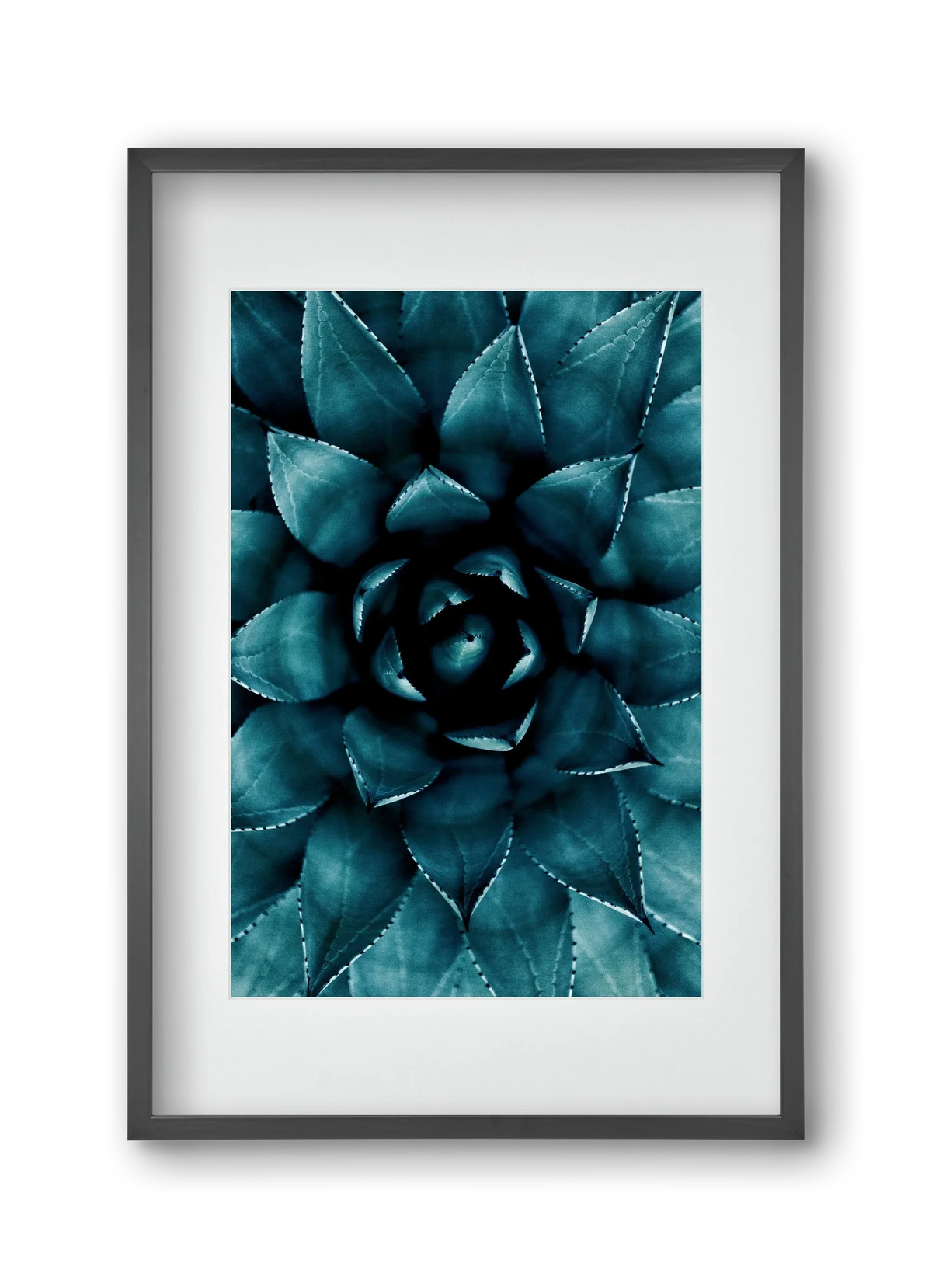 Cactus No. 9 - artbridge
