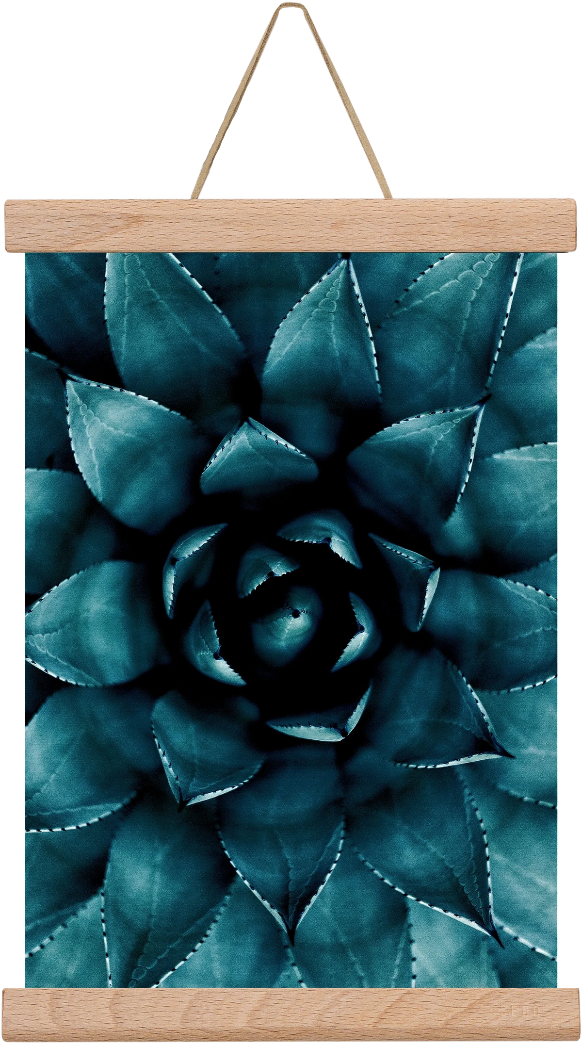 Cactus No. 9 - artbridge