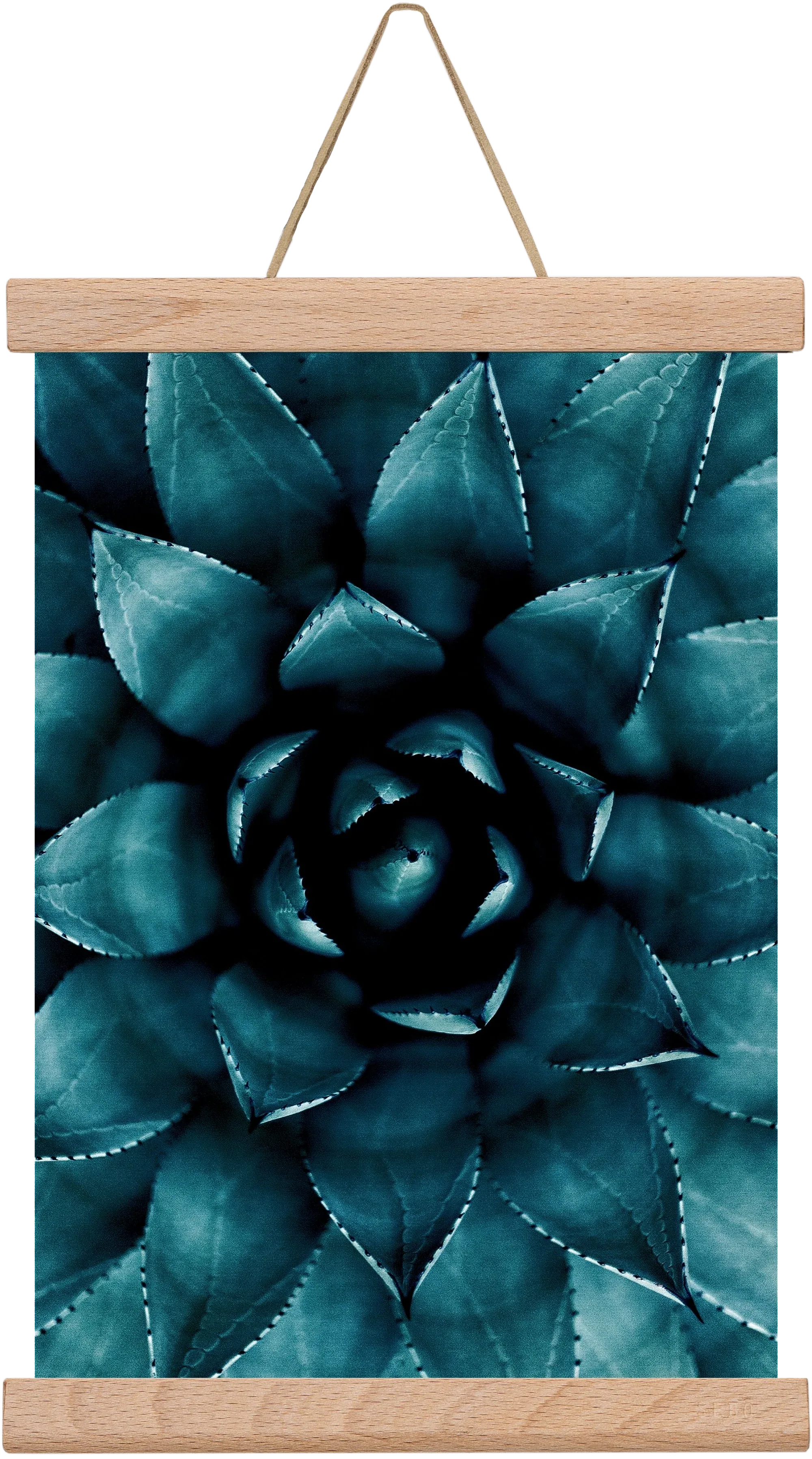 Cactus No. 9 - artbridge