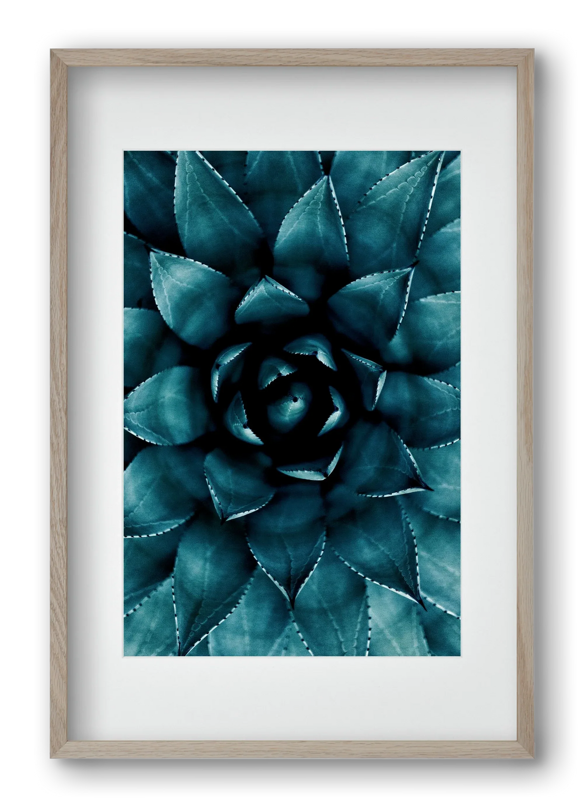 Cactus No. 9 - artbridge
