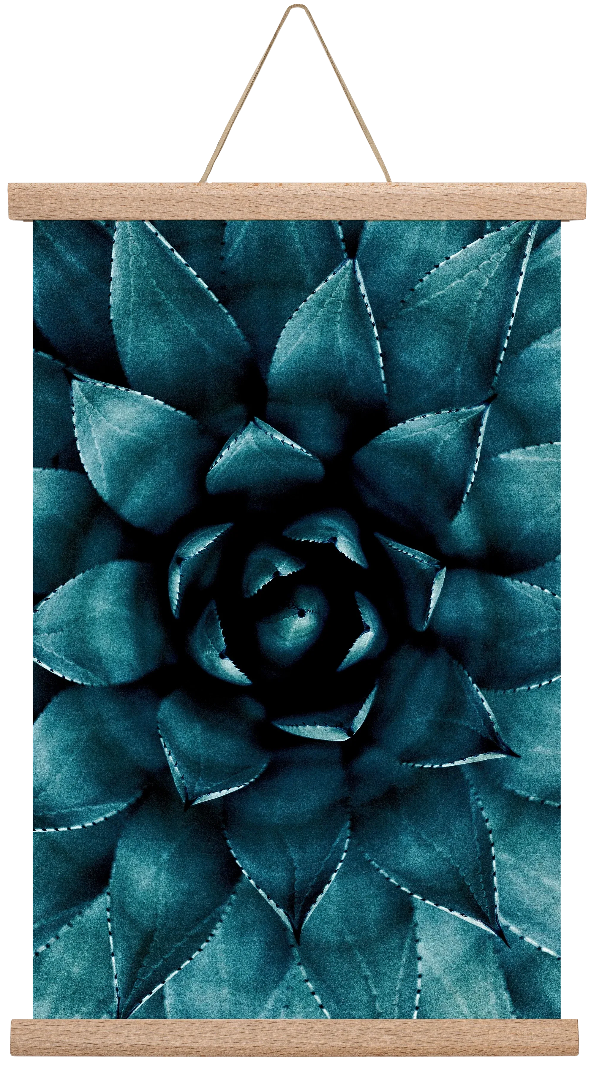 Cactus No. 9 - artbridge