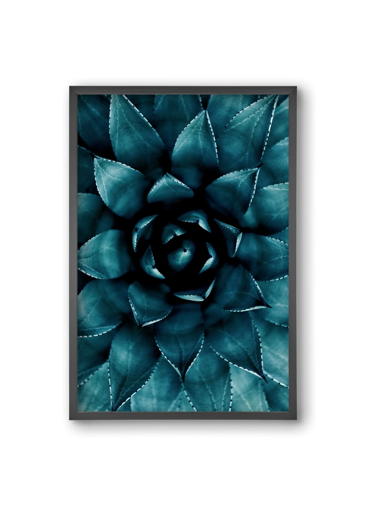 Cactus No. 9 - artbridge