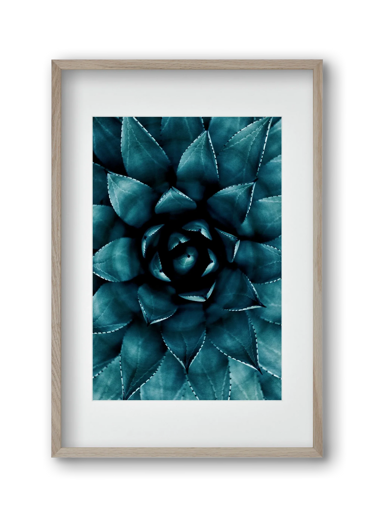 Cactus No. 9 - artbridge