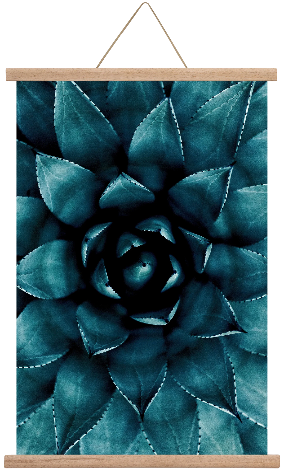 Cactus No. 9 - artbridge