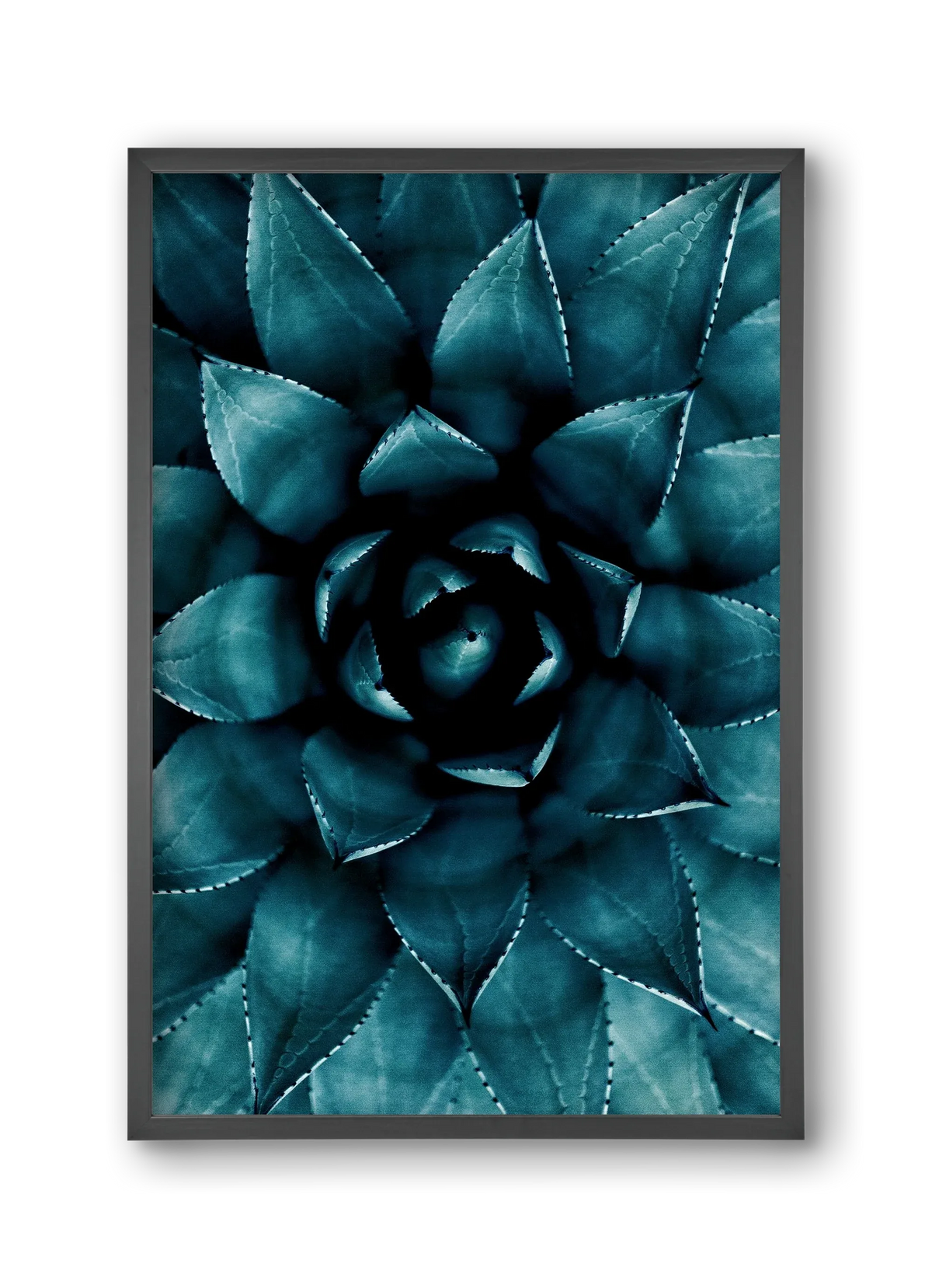 Cactus No. 9 - artbridge