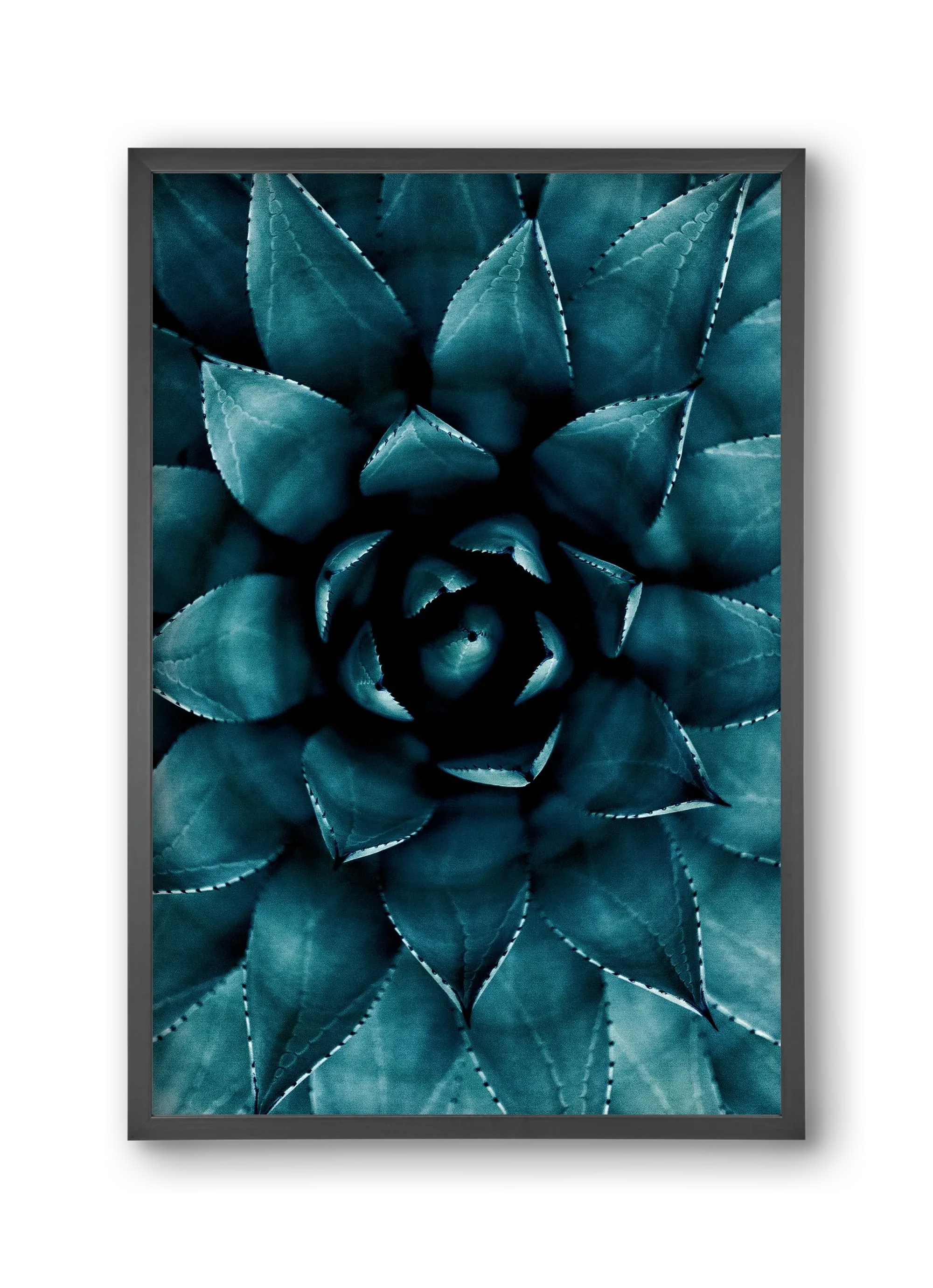 Cactus No. 9 - artbridge