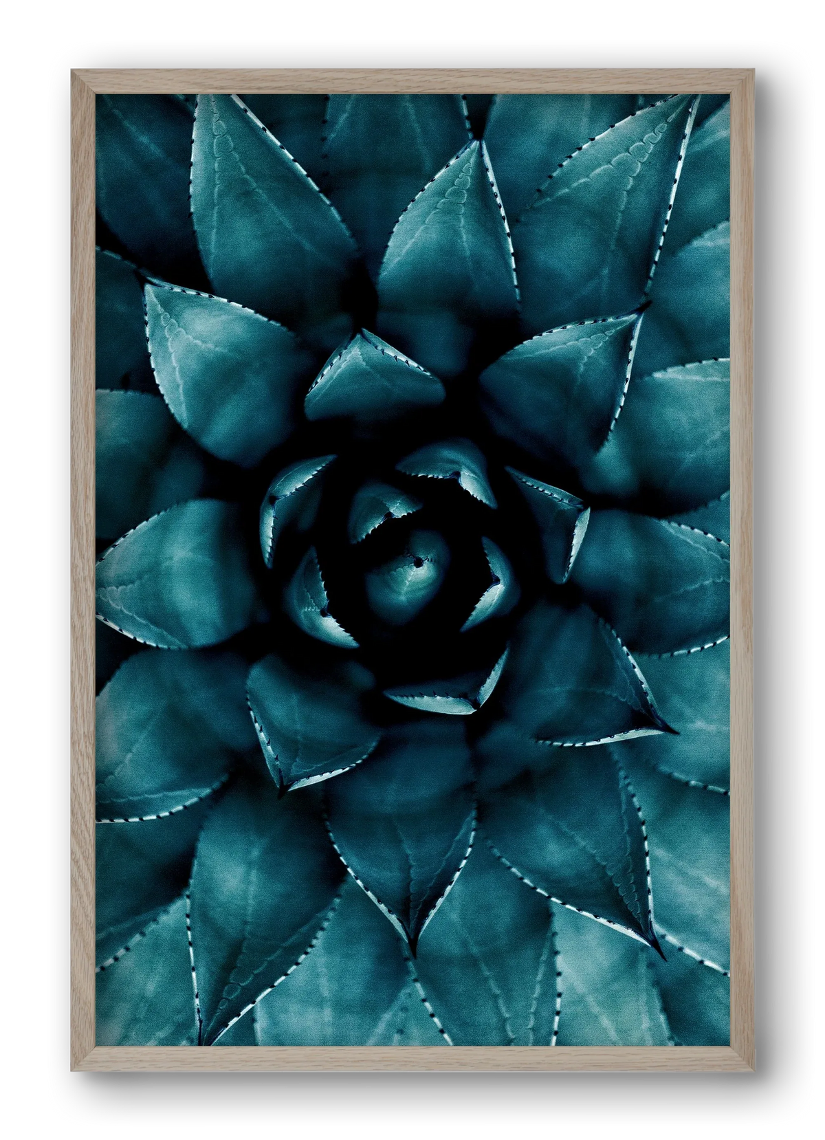 Cactus No. 9 - artbridge