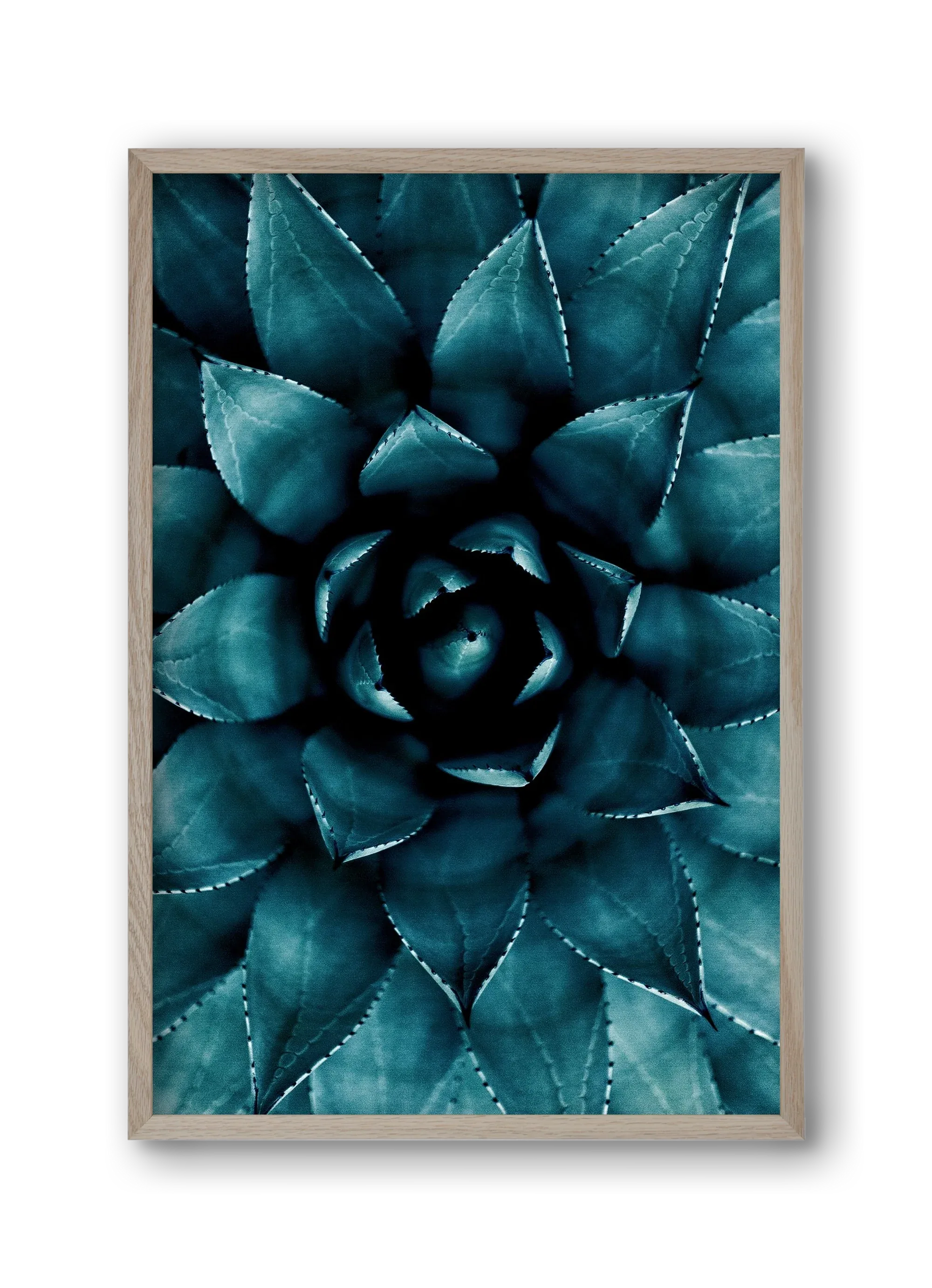 Cactus No. 9 - artbridge