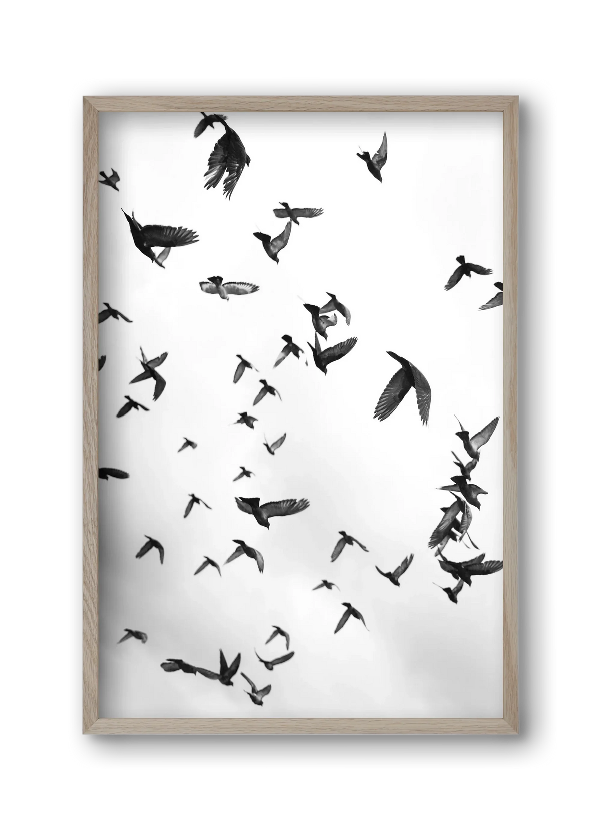 Flight & Freedom II. - artbridge