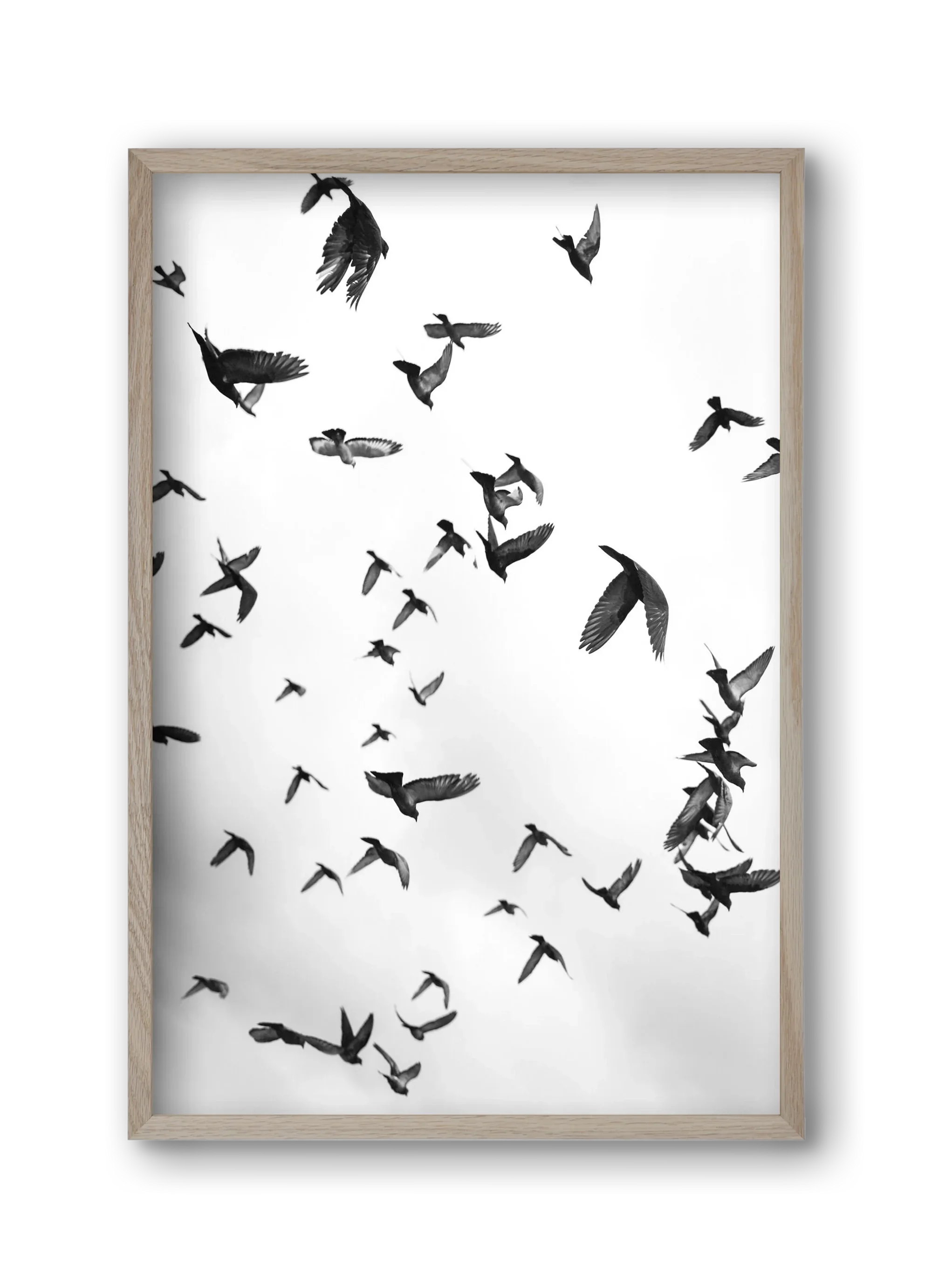 Flight & Freedom II. - artbridge