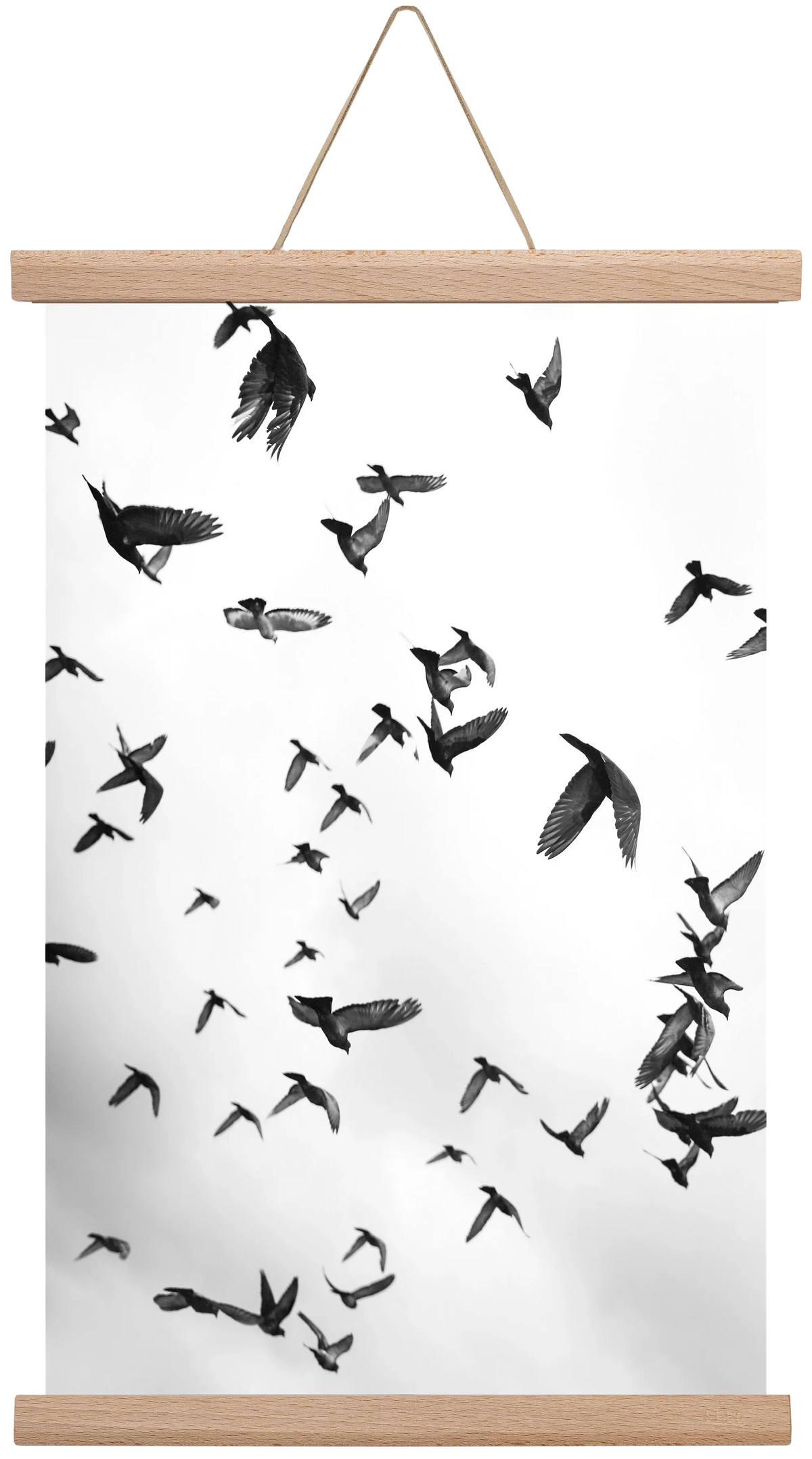 Flight & Freedom II. - artbridge