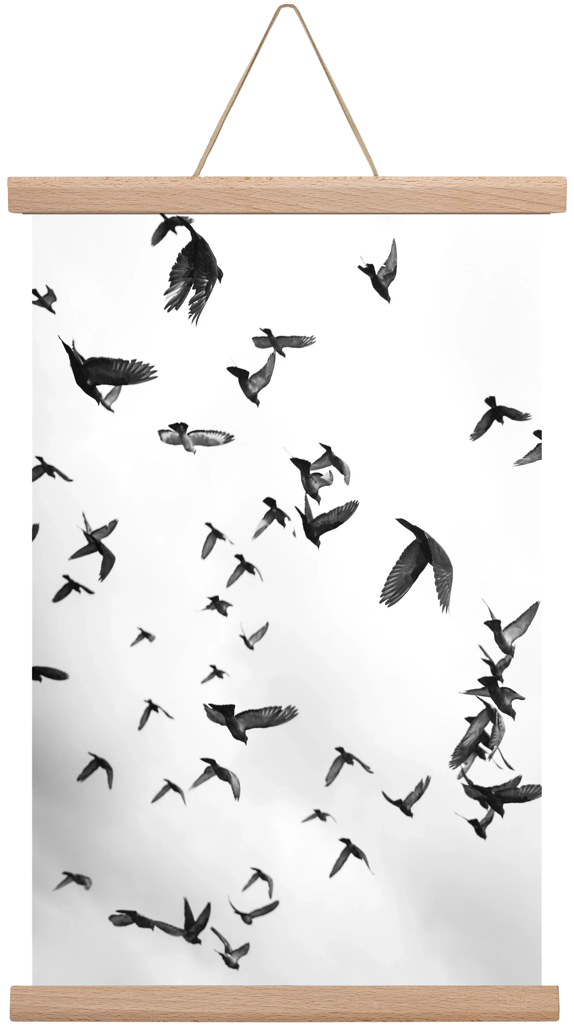 Flight & Freedom II. - artbridge