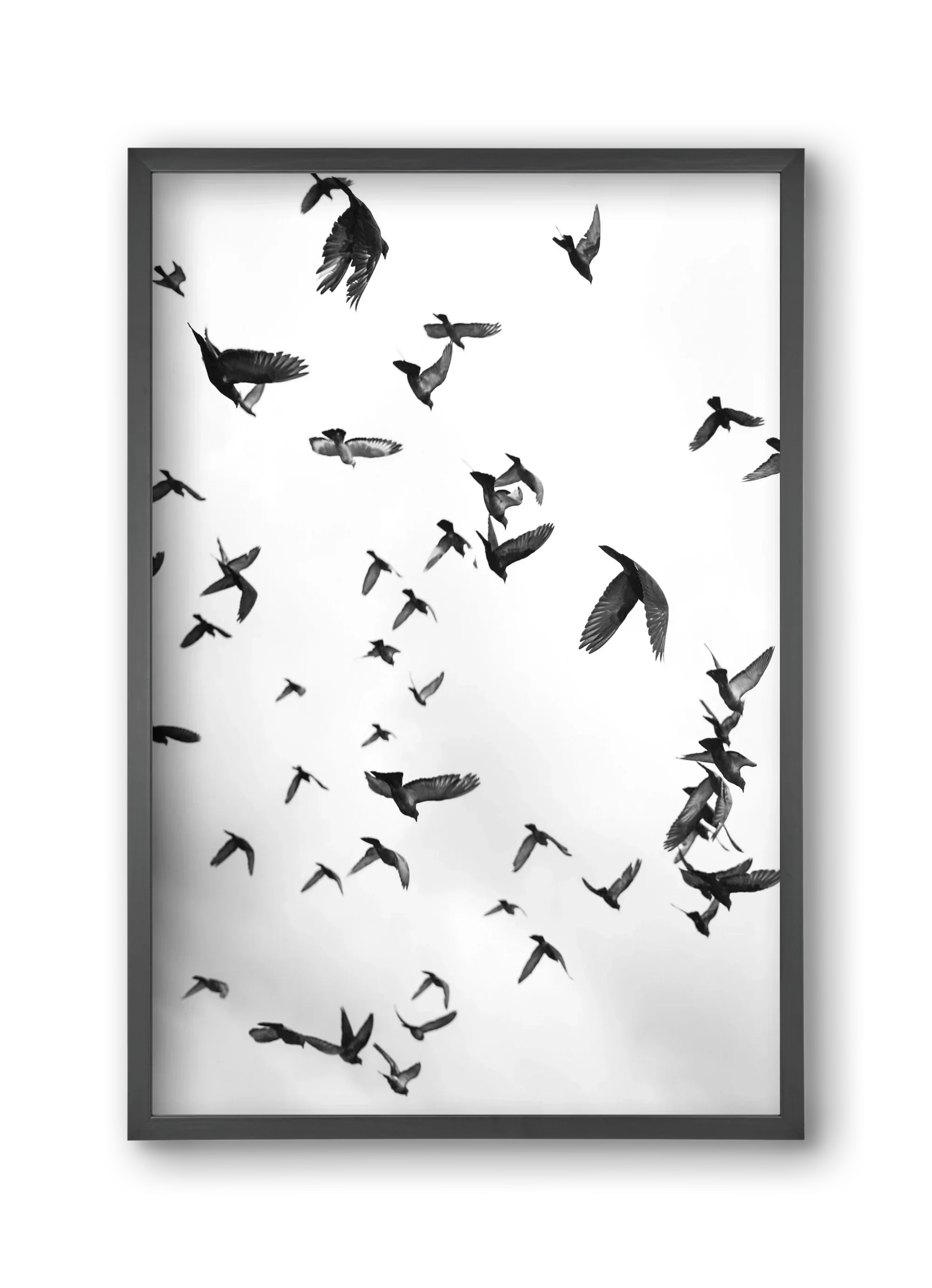 Flight & Freedom II. - artbridge