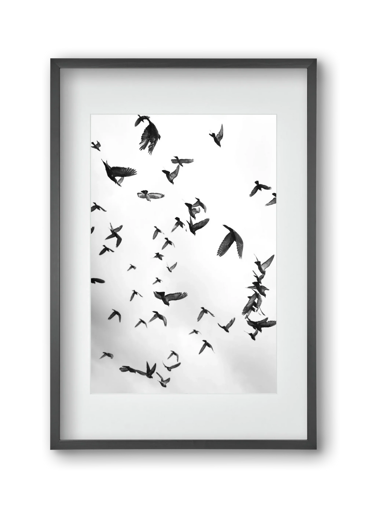 Flight & Freedom II. - artbridge