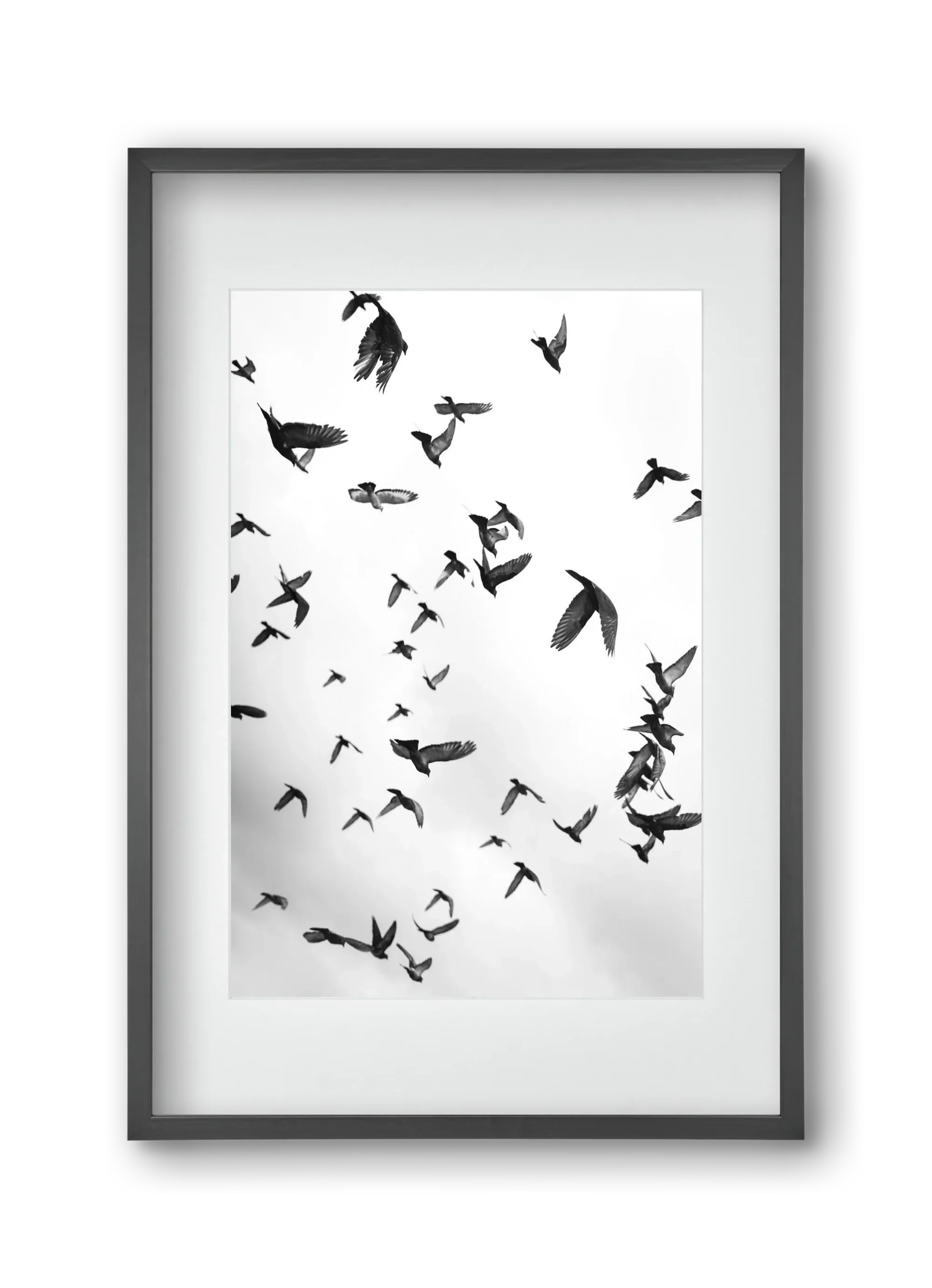 Flight & Freedom II. - artbridge