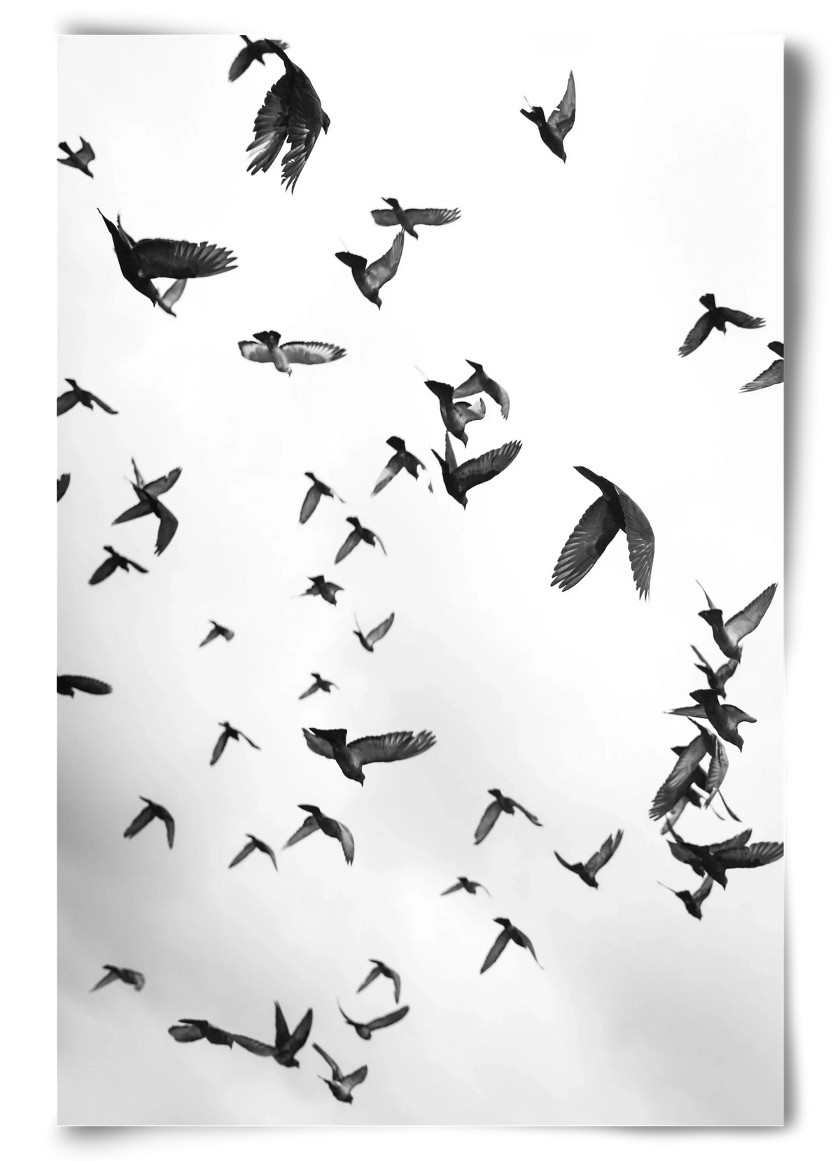 Flight & Freedom II. - artbridge