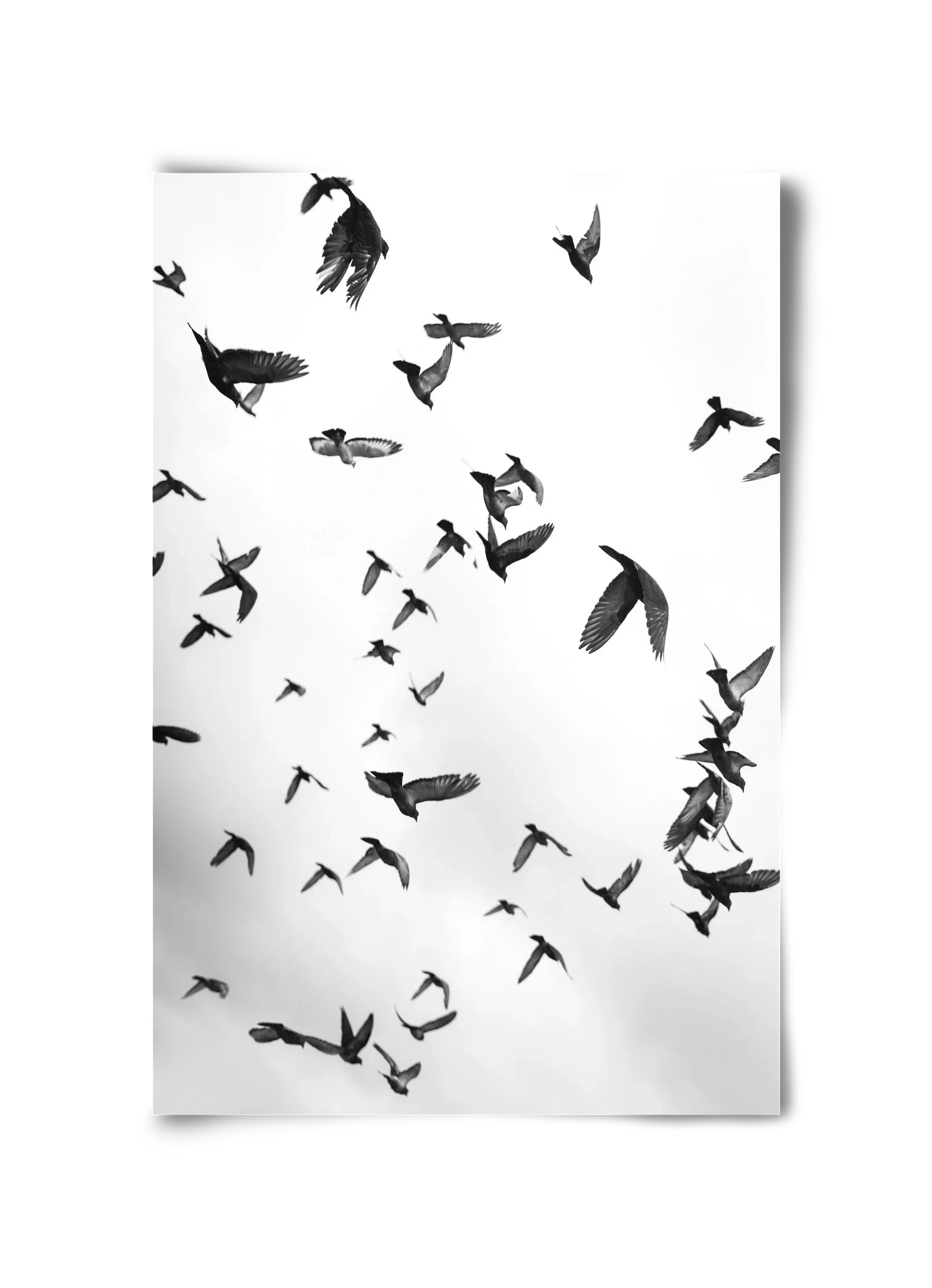 Flight & Freedom II. - artbridge
