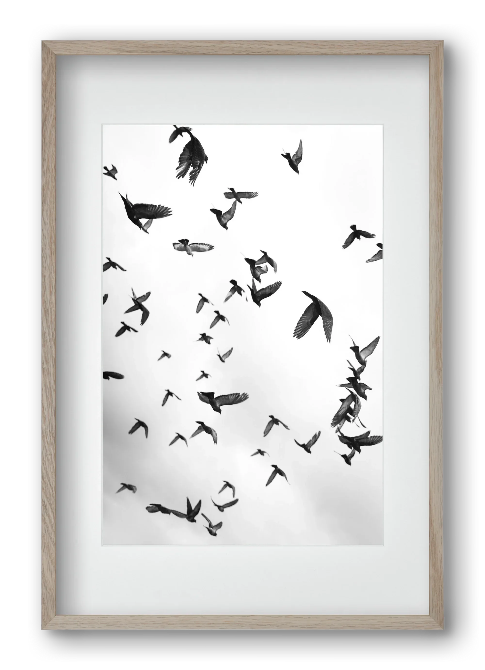 Flight & Freedom II. - artbridge
