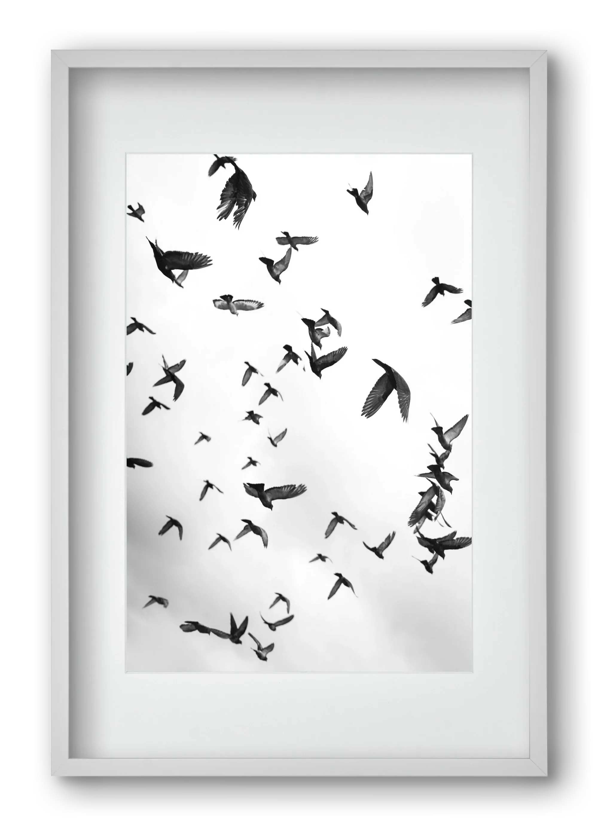 Flight & Freedom II. - artbridge