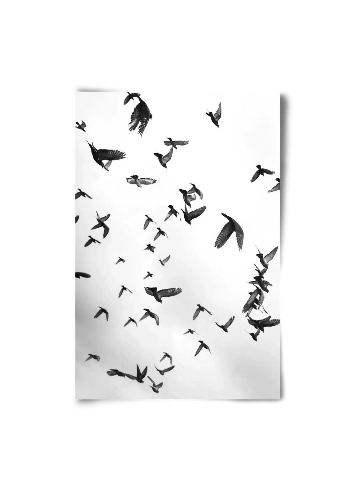 Flight & Freedom II. - artbridge