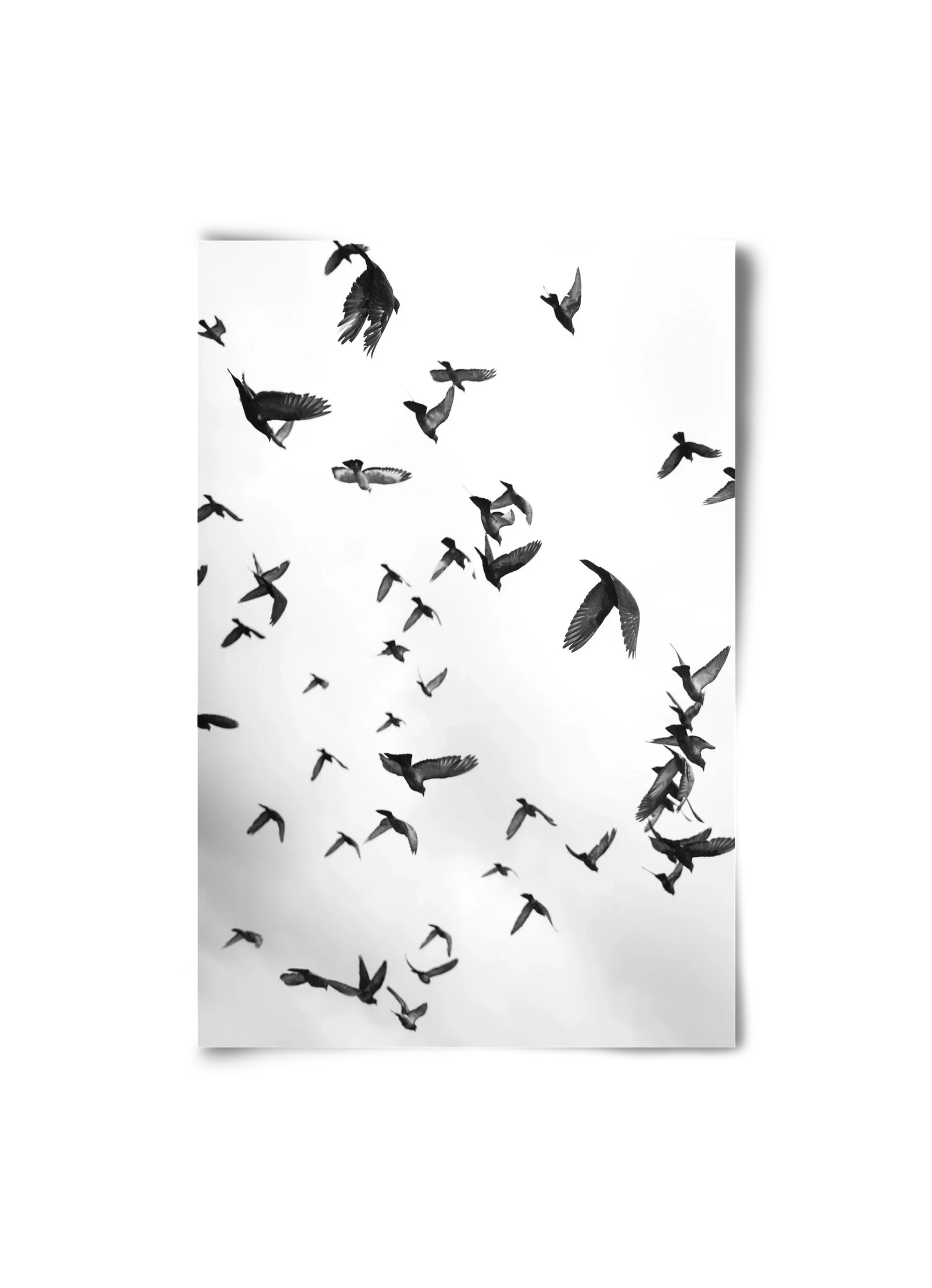 Flight & Freedom II. - artbridge