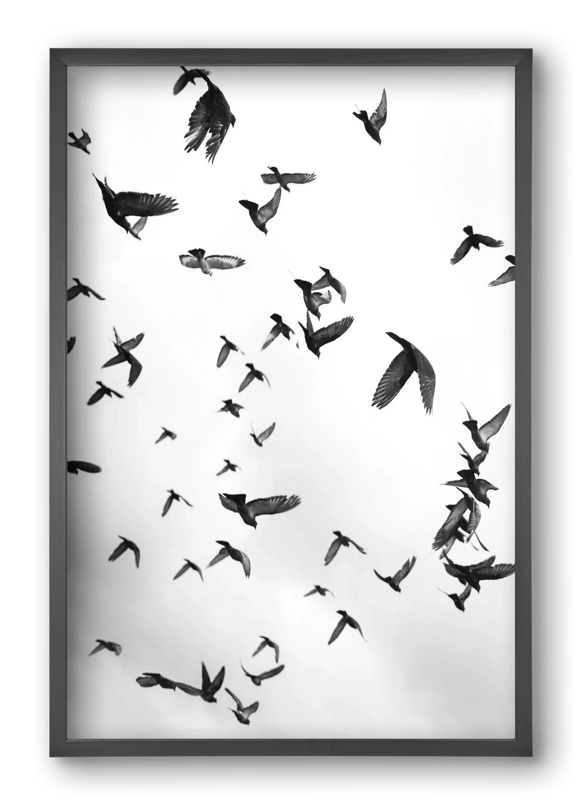 Flight & Freedom II. - artbridge