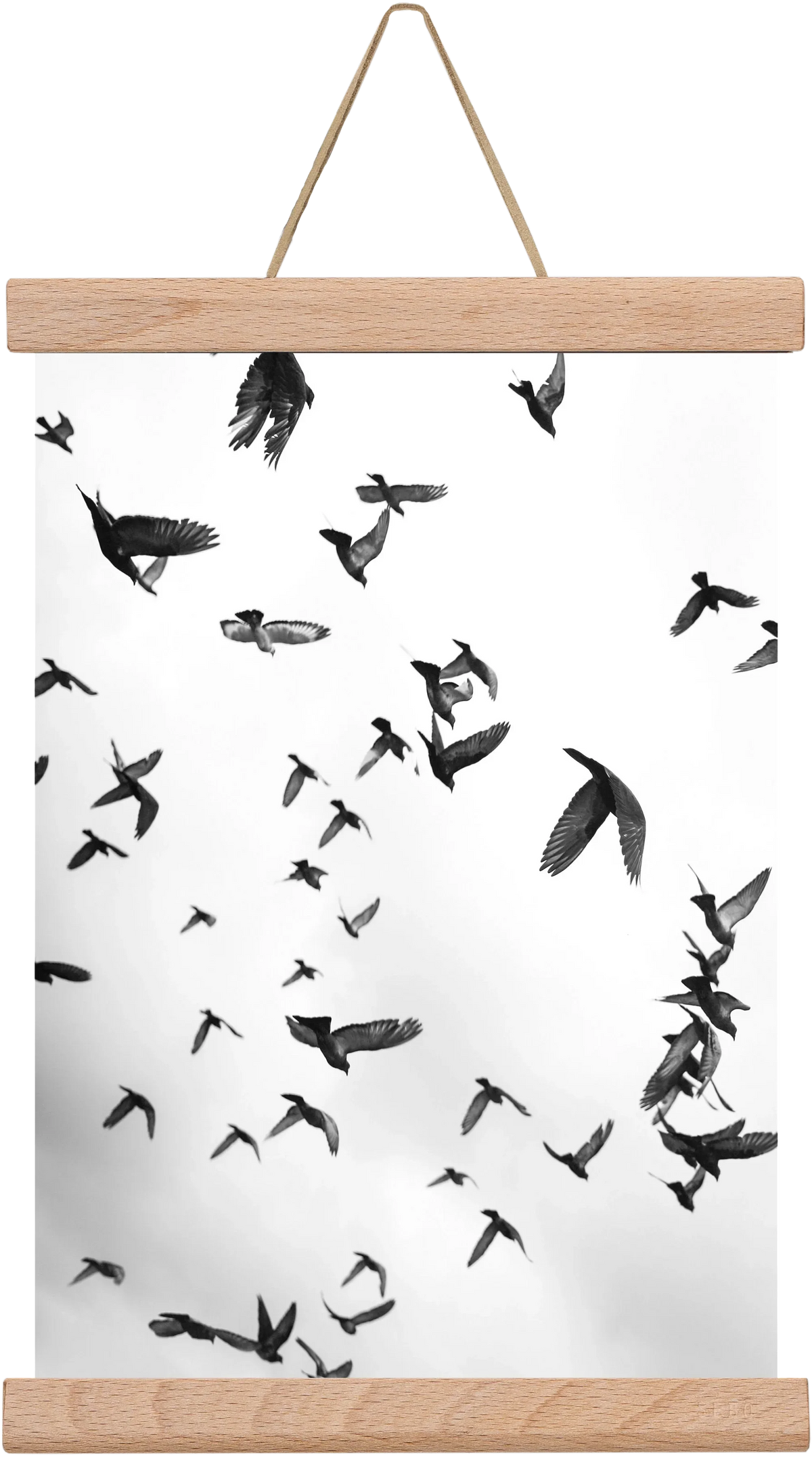 Flight & Freedom II. - artbridge