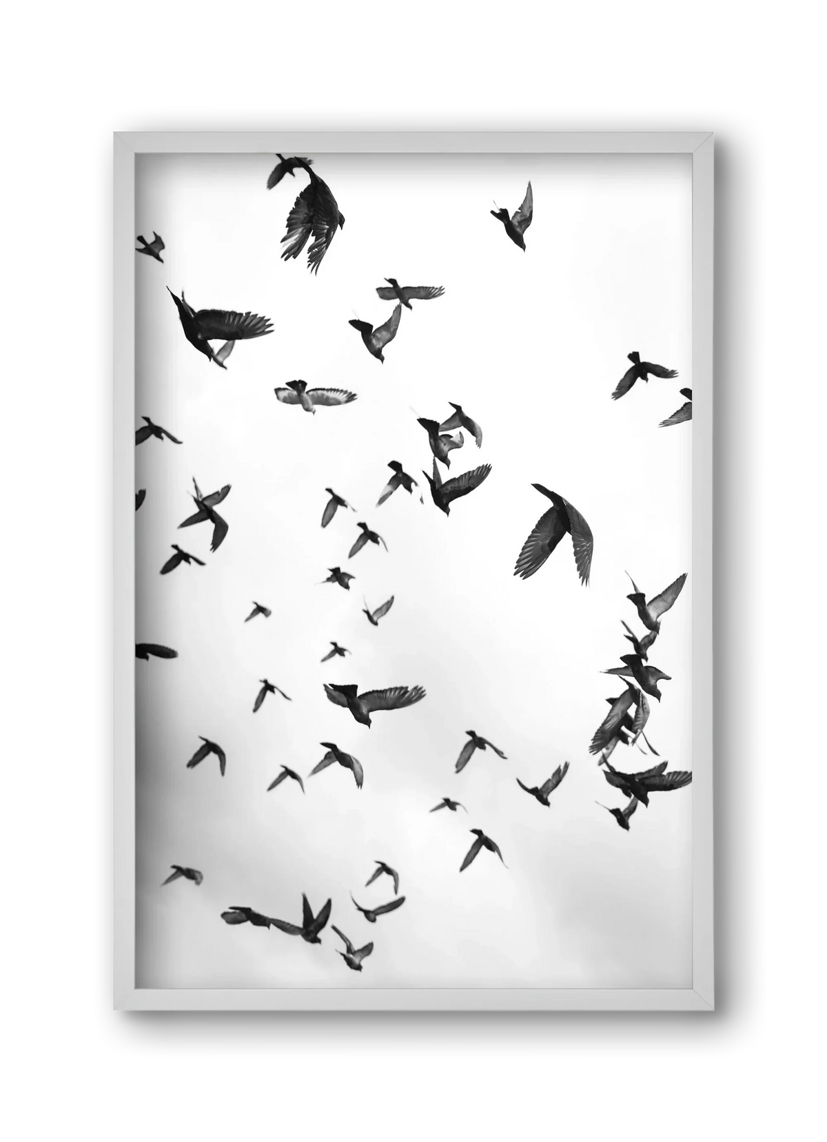 Flight & Freedom II. - artbridge