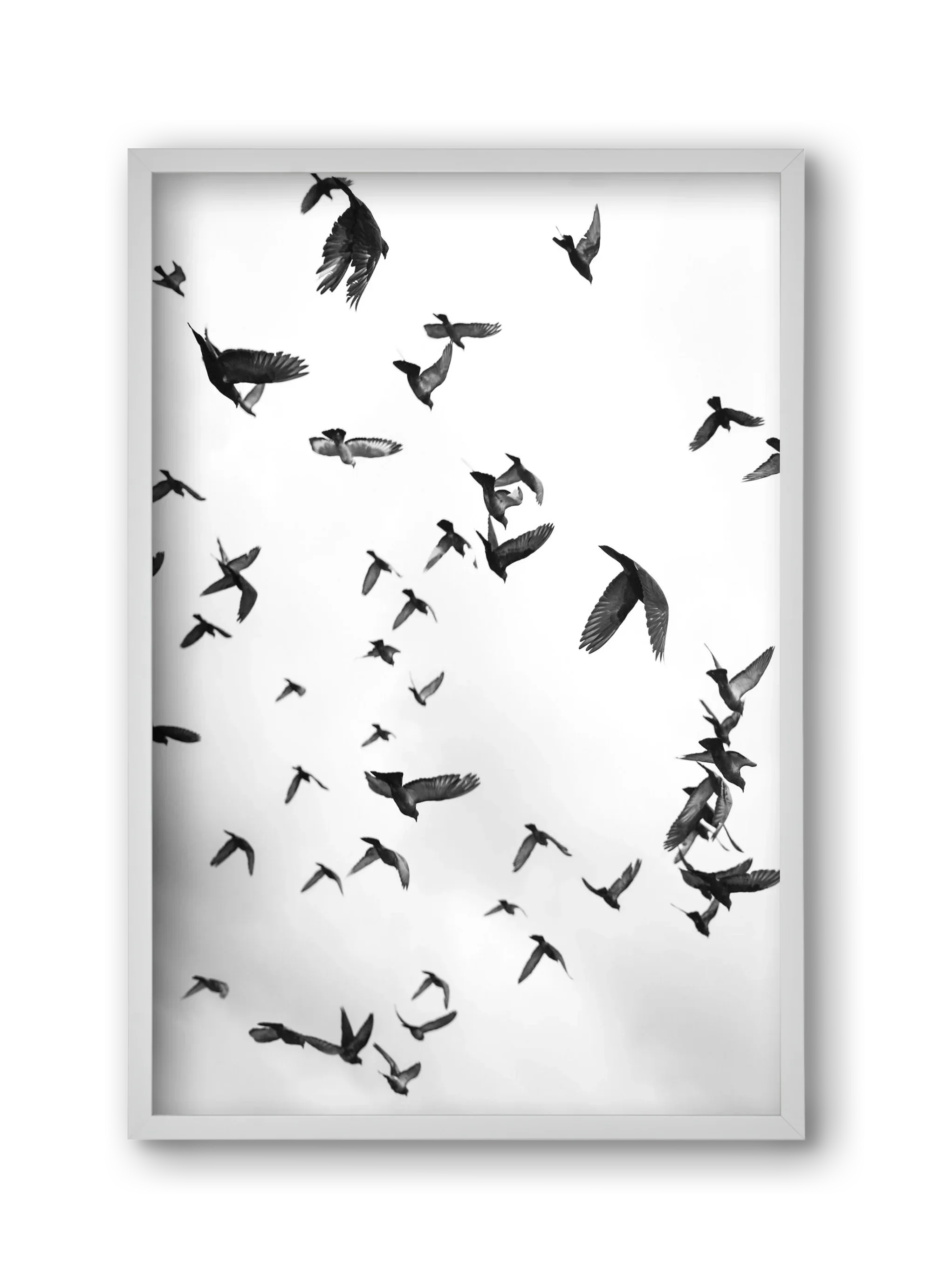 Flight & Freedom II. - artbridge