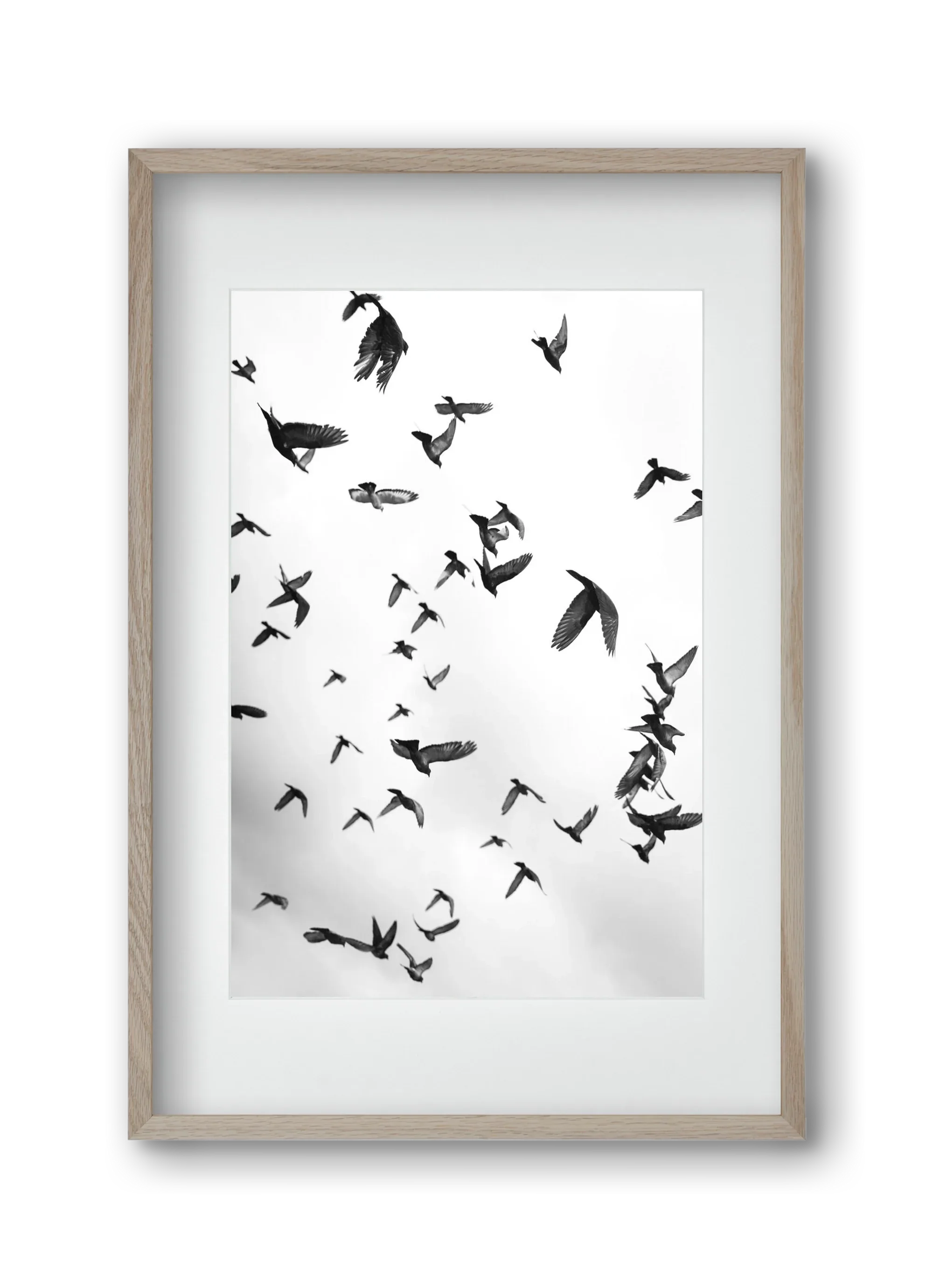 Flight & Freedom II. - artbridge