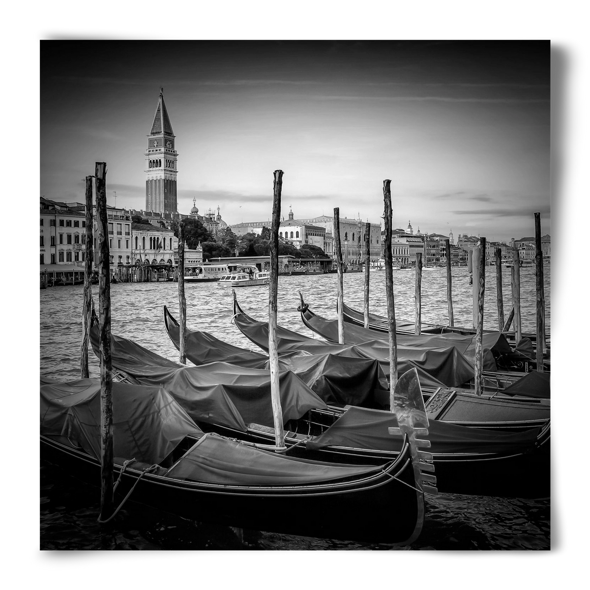 VENICE Grand Canal and St Mark's Campanile | Monochrome - artbridge