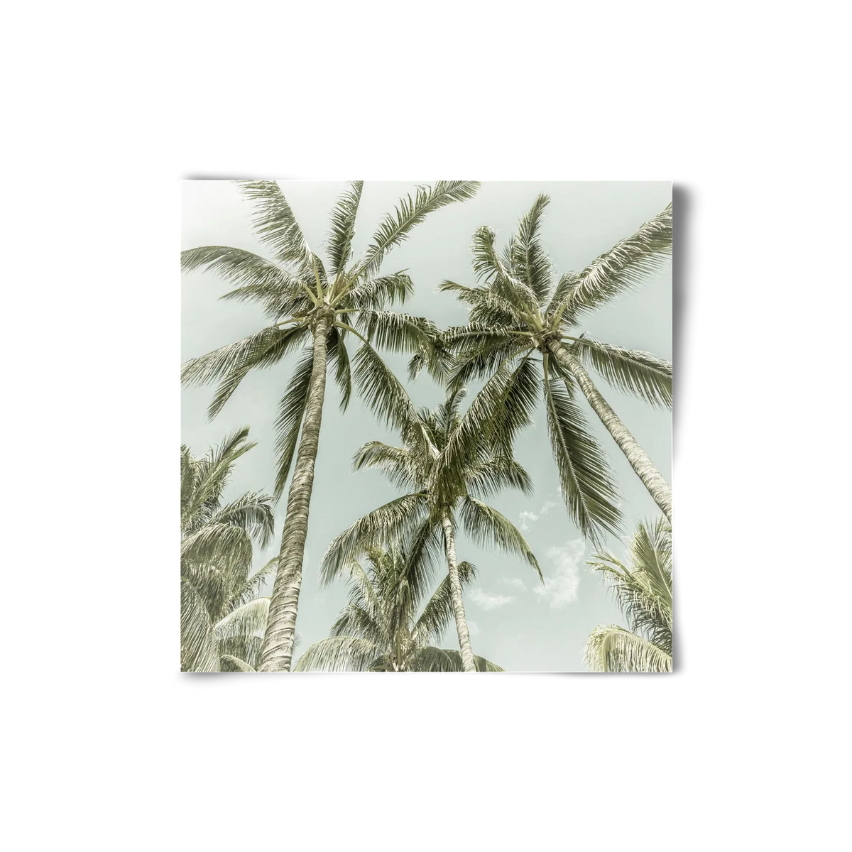 Lovely Palm Trees | Vintage - artbridge