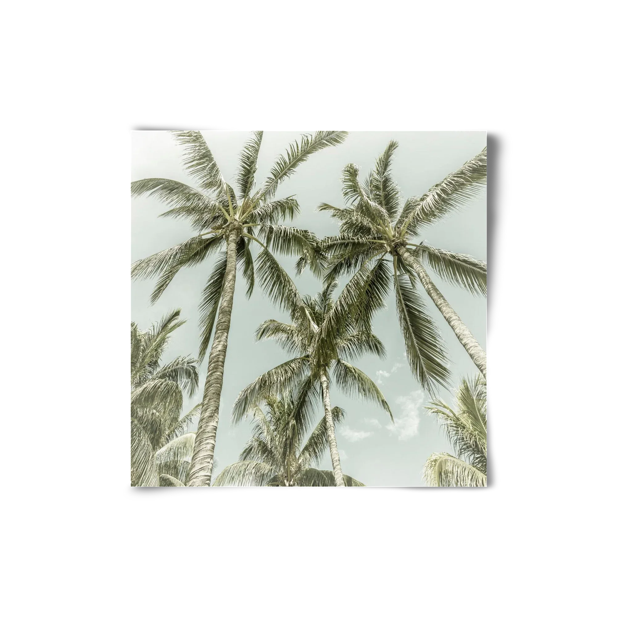 Lovely Palm Trees | Vintage - artbridge