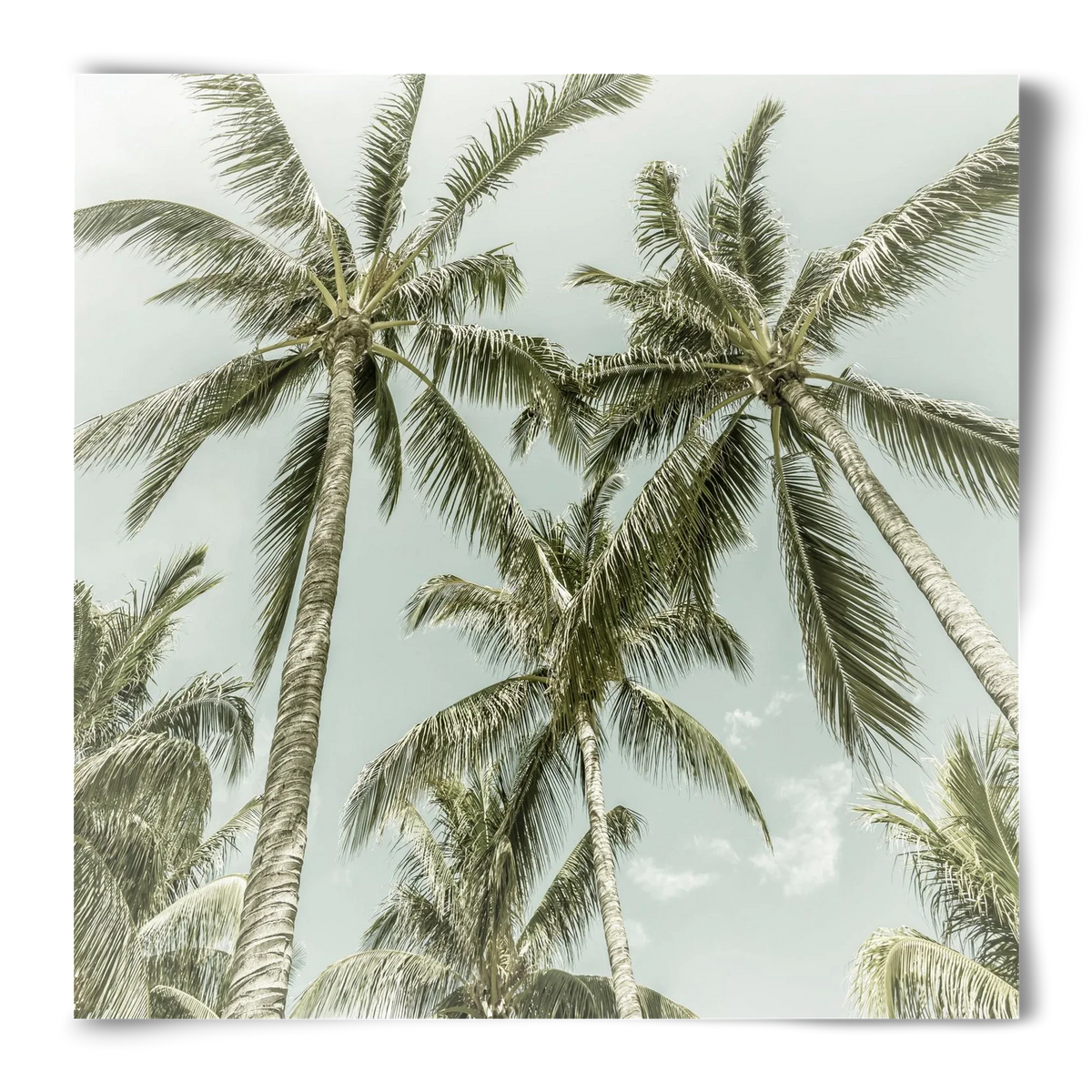 Lovely Palm Trees | Vintage - artbridge