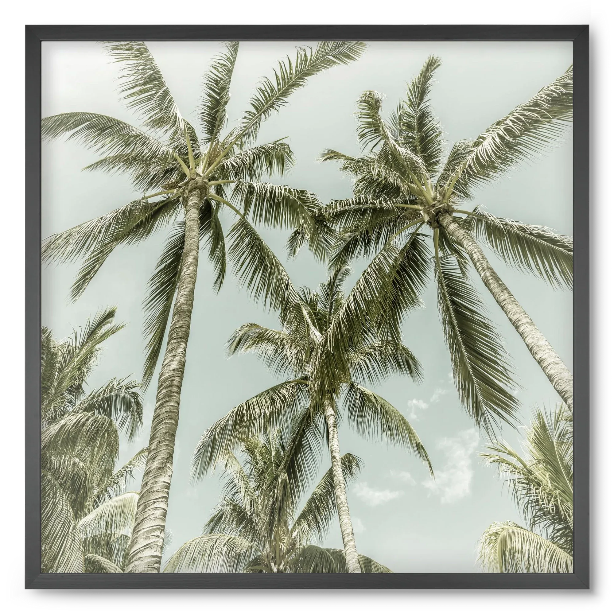 Lovely Palm Trees | Vintage - artbridge