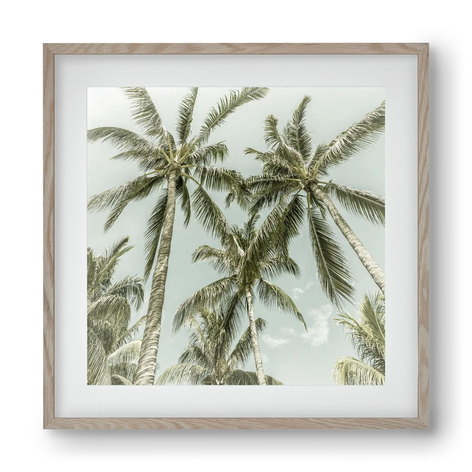Lovely Palm Trees | Vintage - artbridge