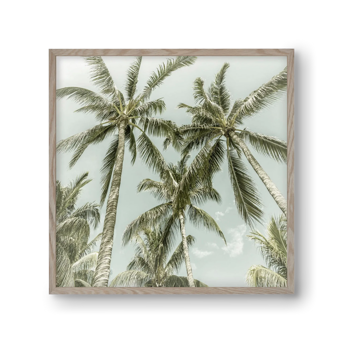 Lovely Palm Trees | Vintage - artbridge