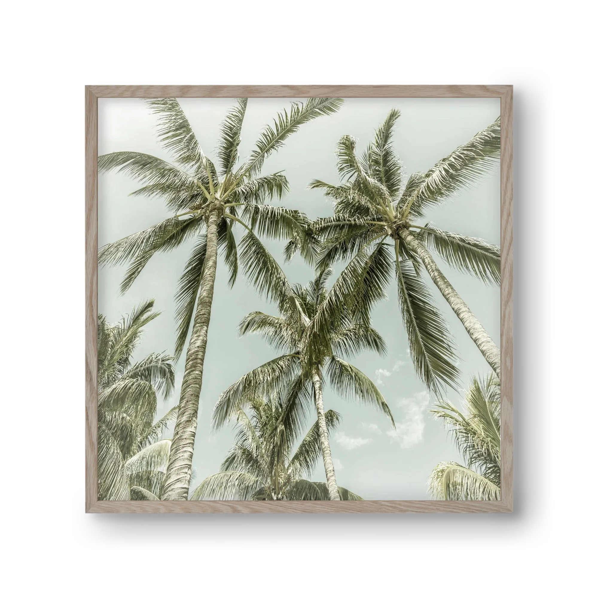 Lovely Palm Trees | Vintage - artbridge