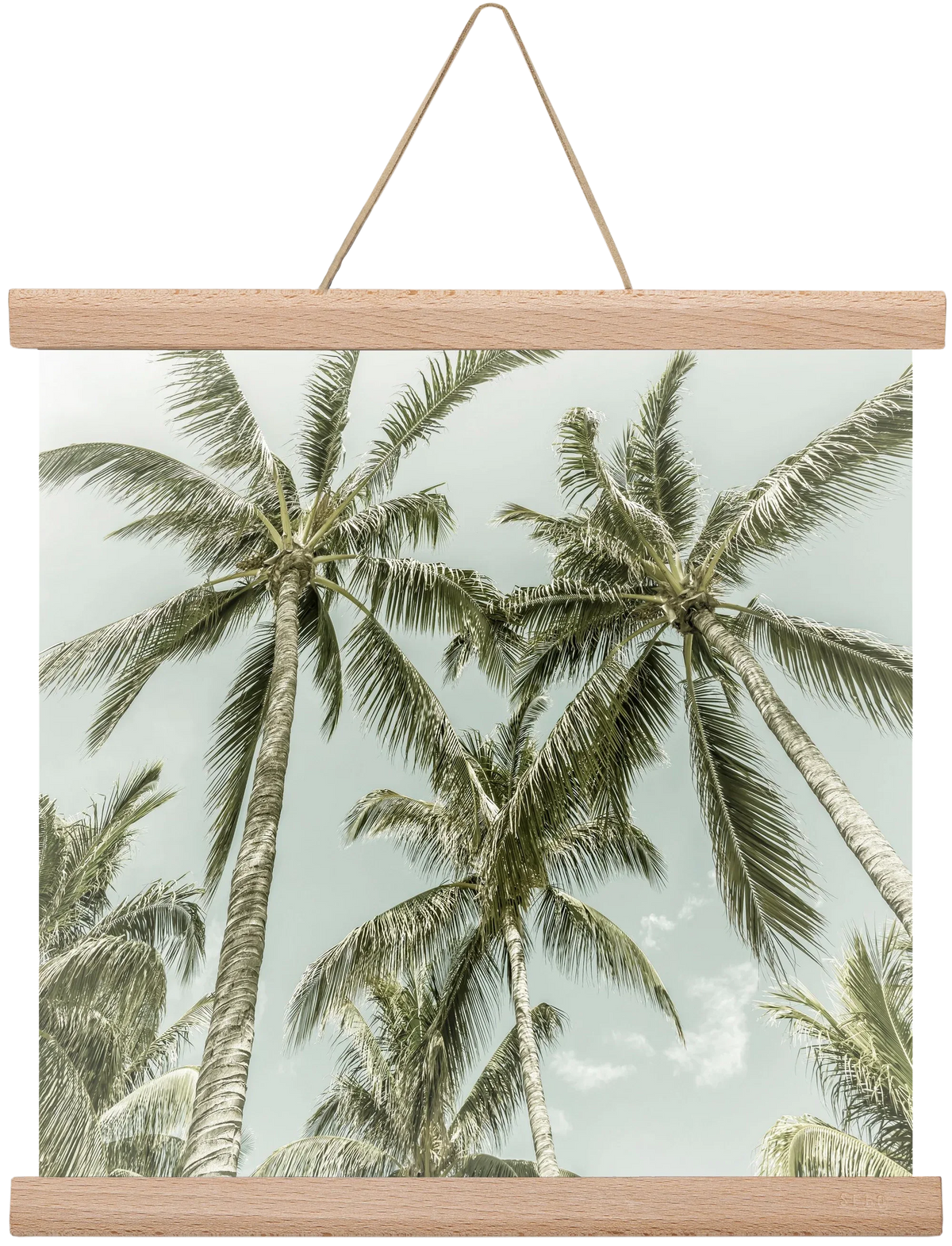 Lovely Palm Trees | Vintage - artbridge