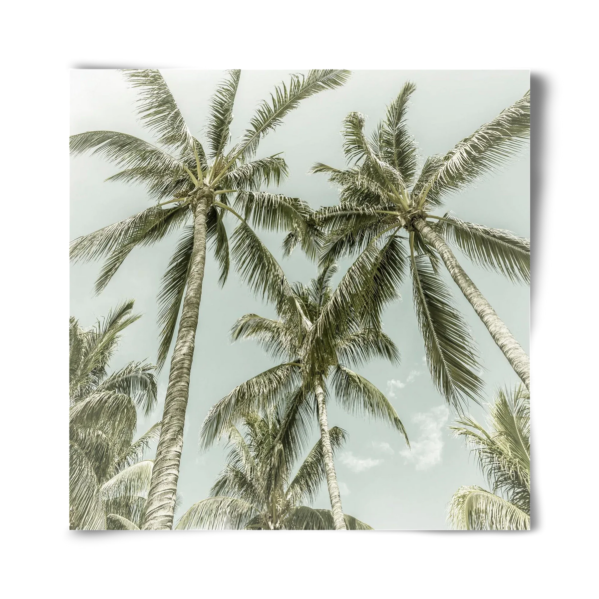 Lovely Palm Trees | Vintage - artbridge