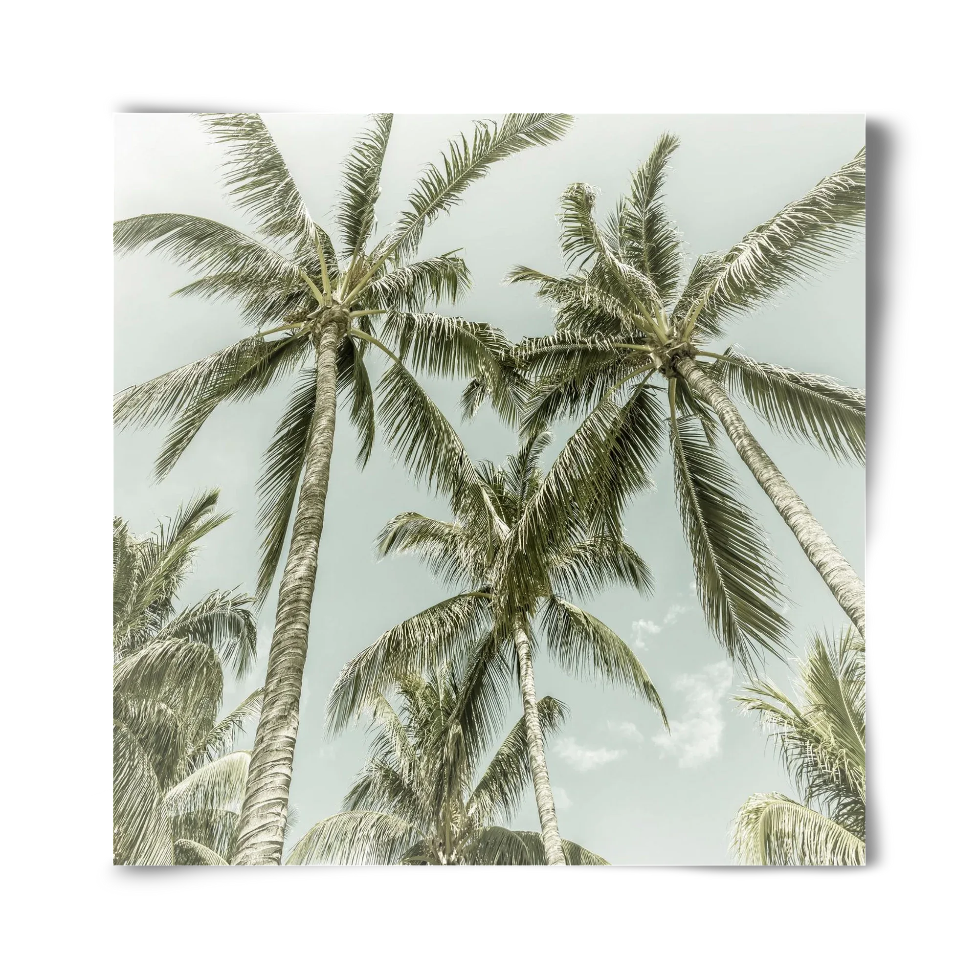 Lovely Palm Trees | Vintage - artbridge