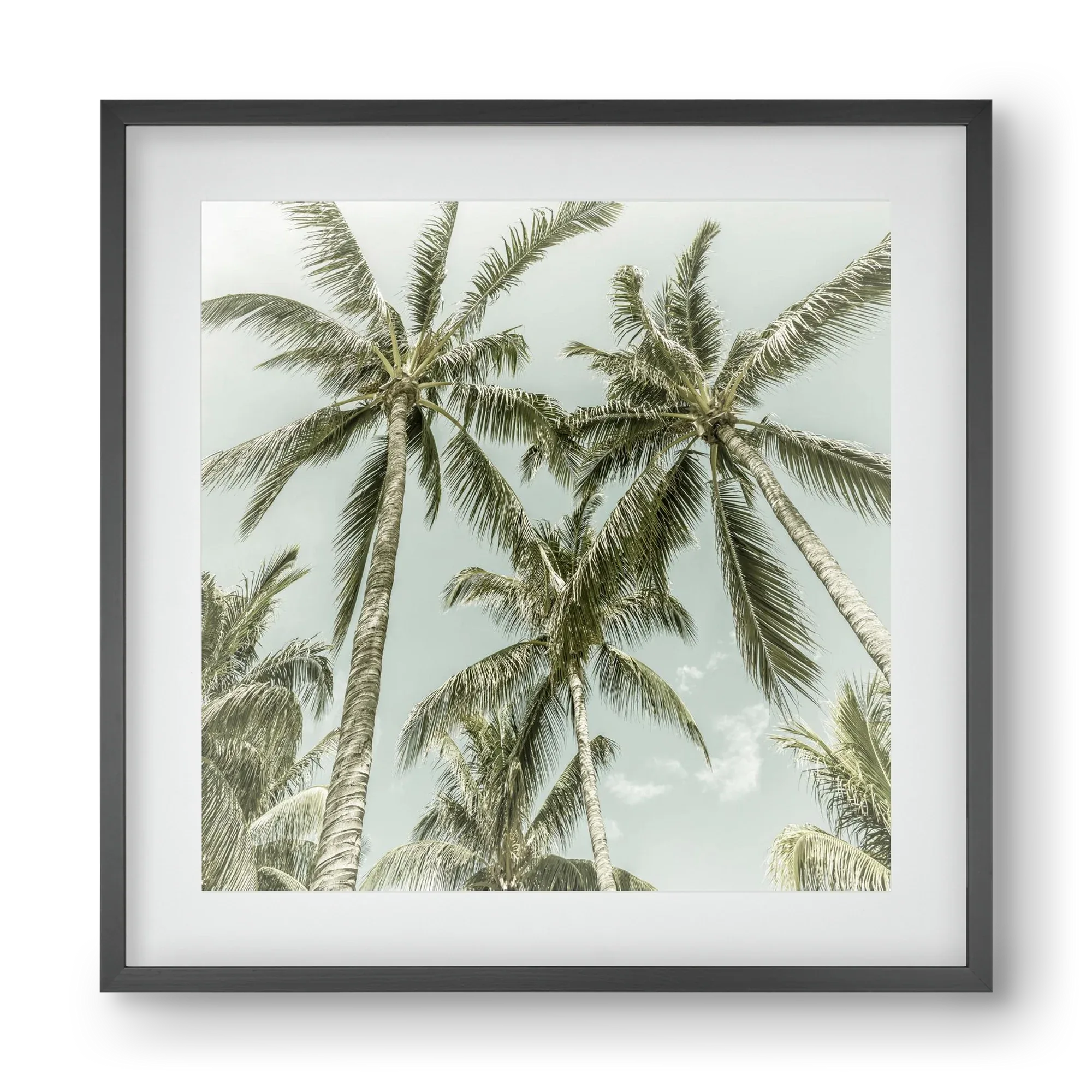 Lovely Palm Trees | Vintage - artbridge