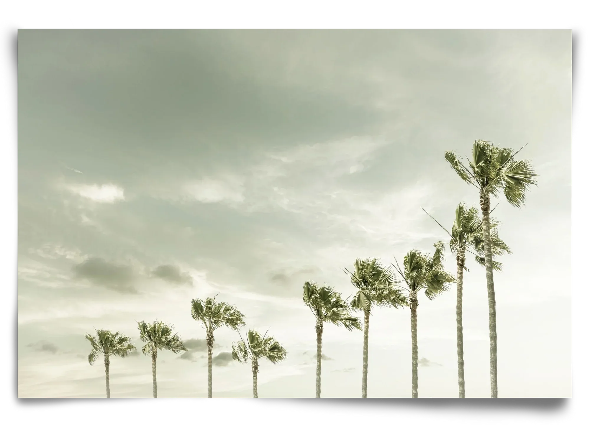 Vintage Palm Trees at the beach - artbridge