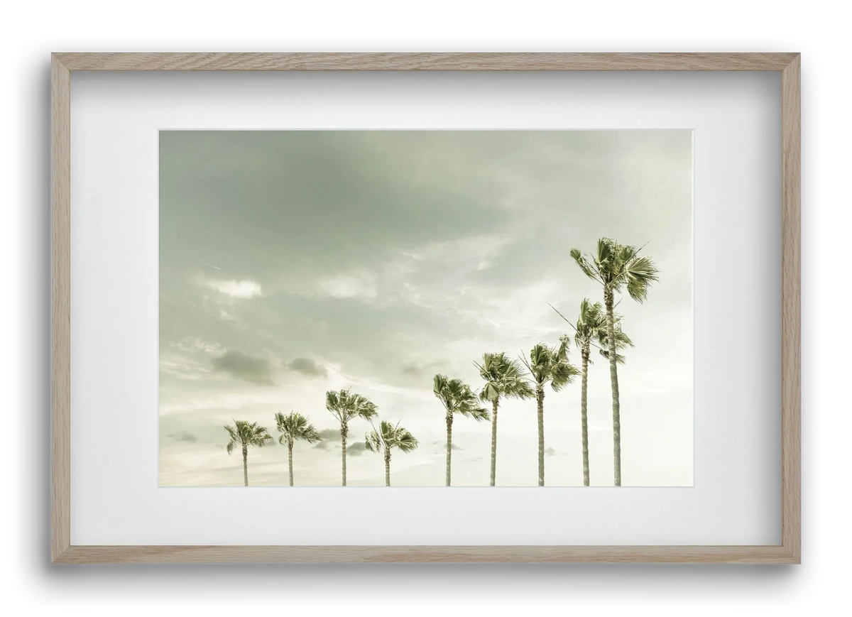 Vintage Palm Trees at the beach - artbridge