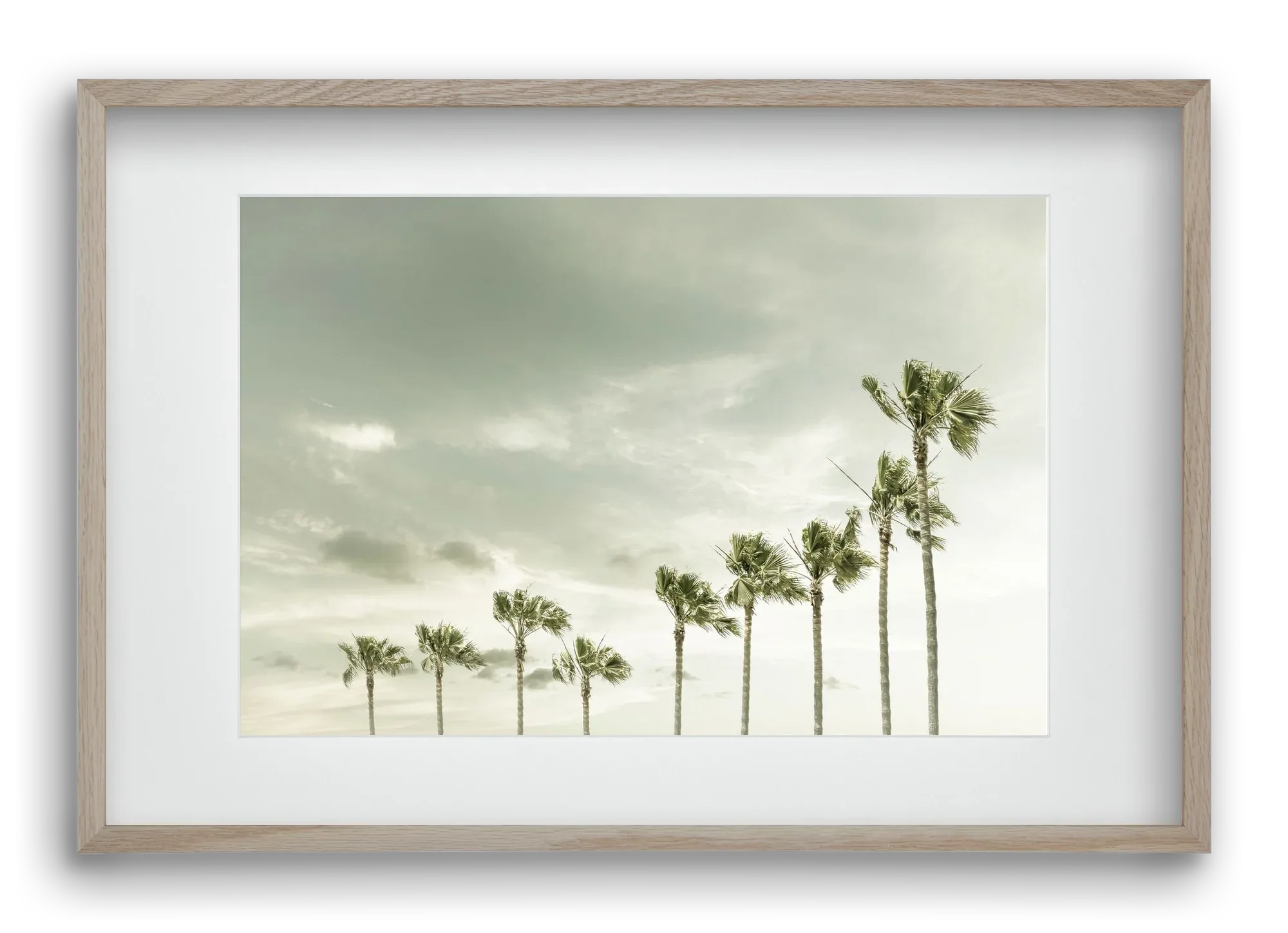 Vintage Palm Trees at the beach - artbridge