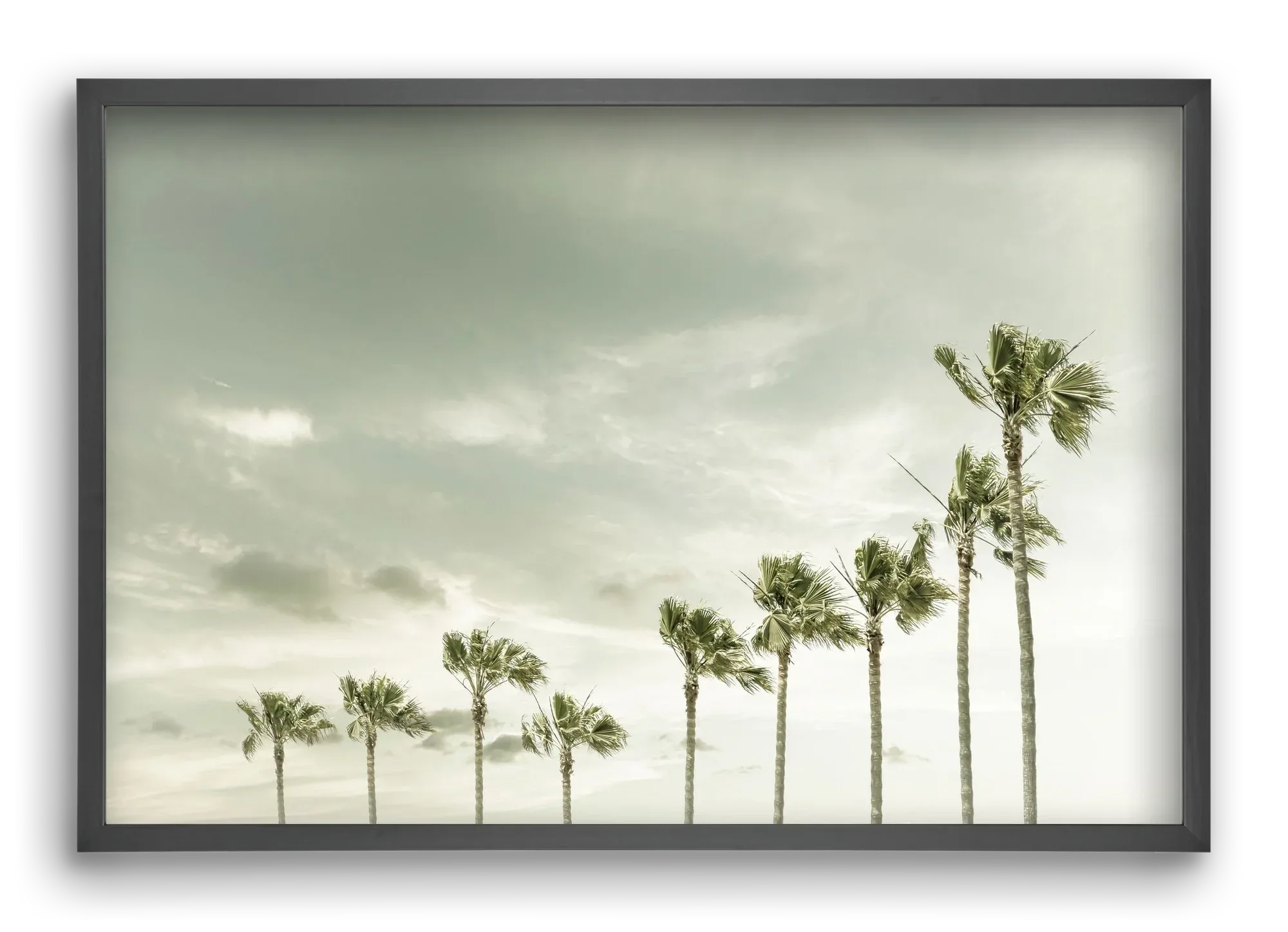Vintage Palm Trees at the beach - artbridge