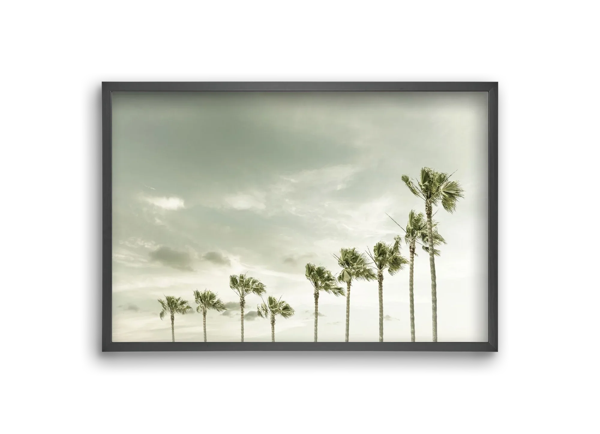 Vintage Palm Trees at the beach - artbridge