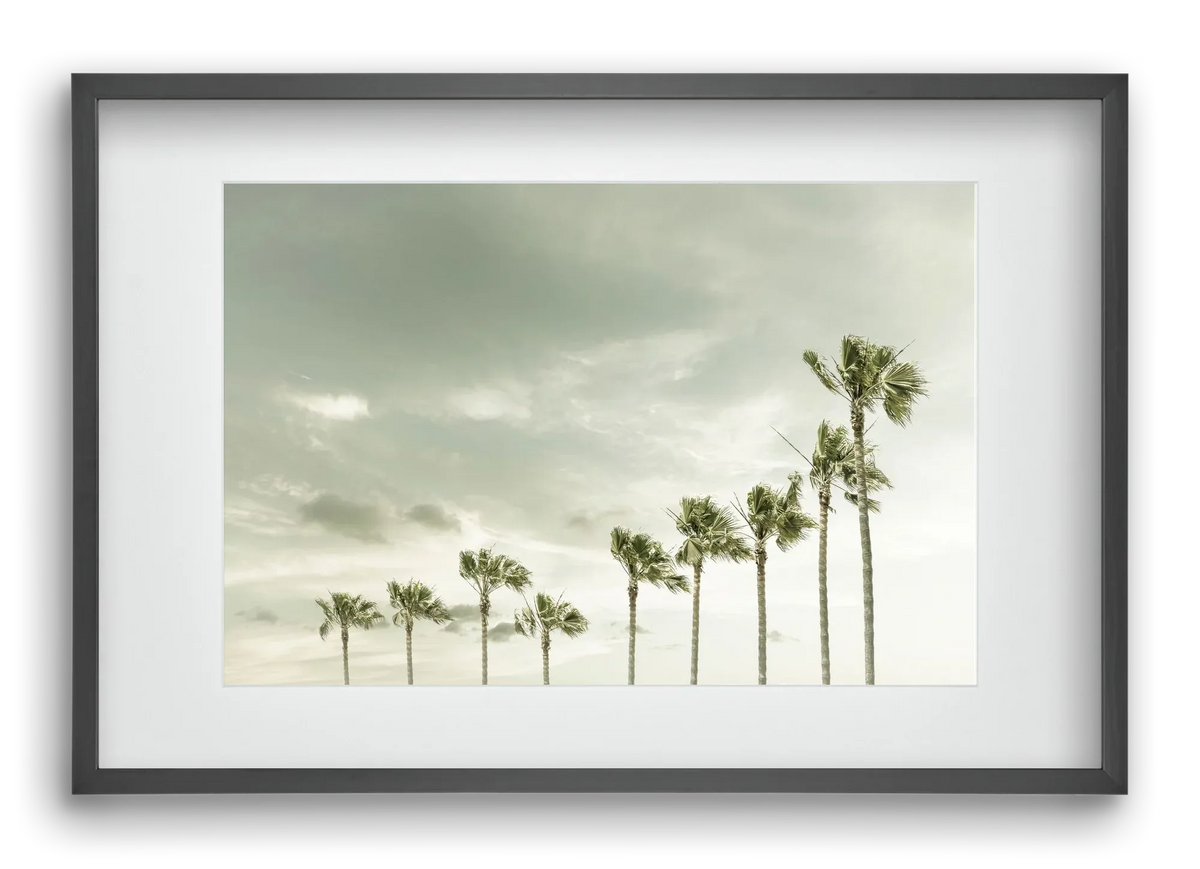 Vintage Palm Trees at the beach - artbridge