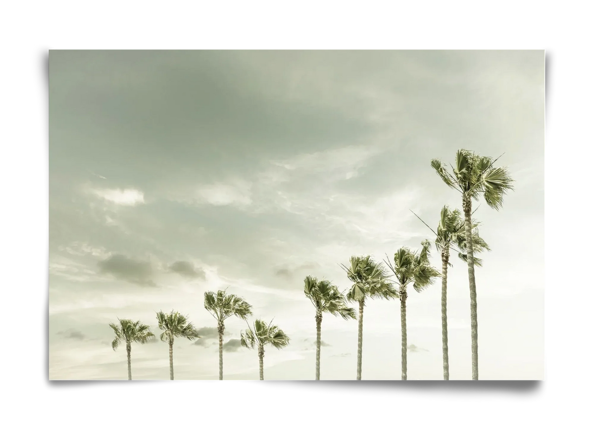 Vintage Palm Trees at the beach - artbridge